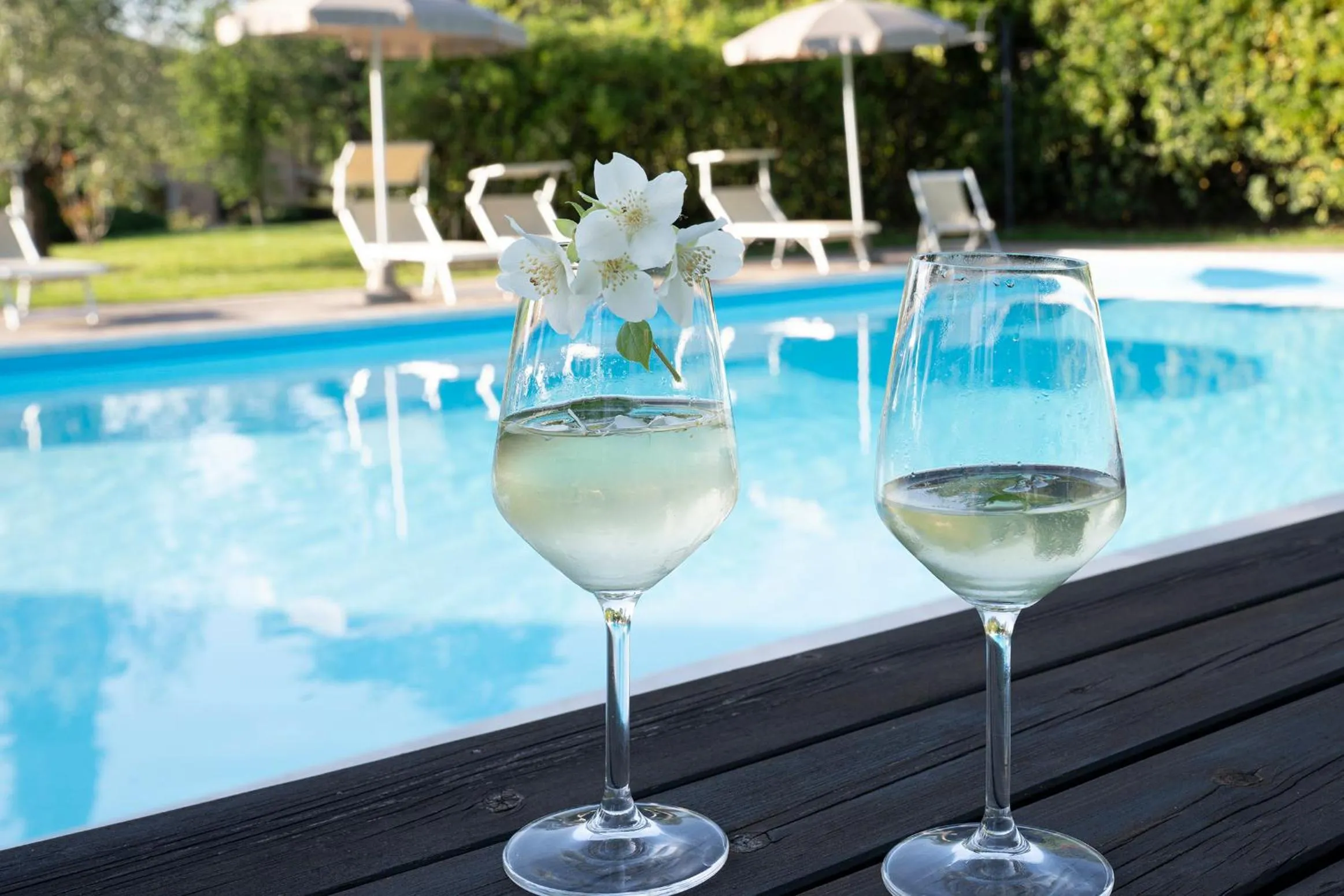 Garden in Borgo San Benedetto