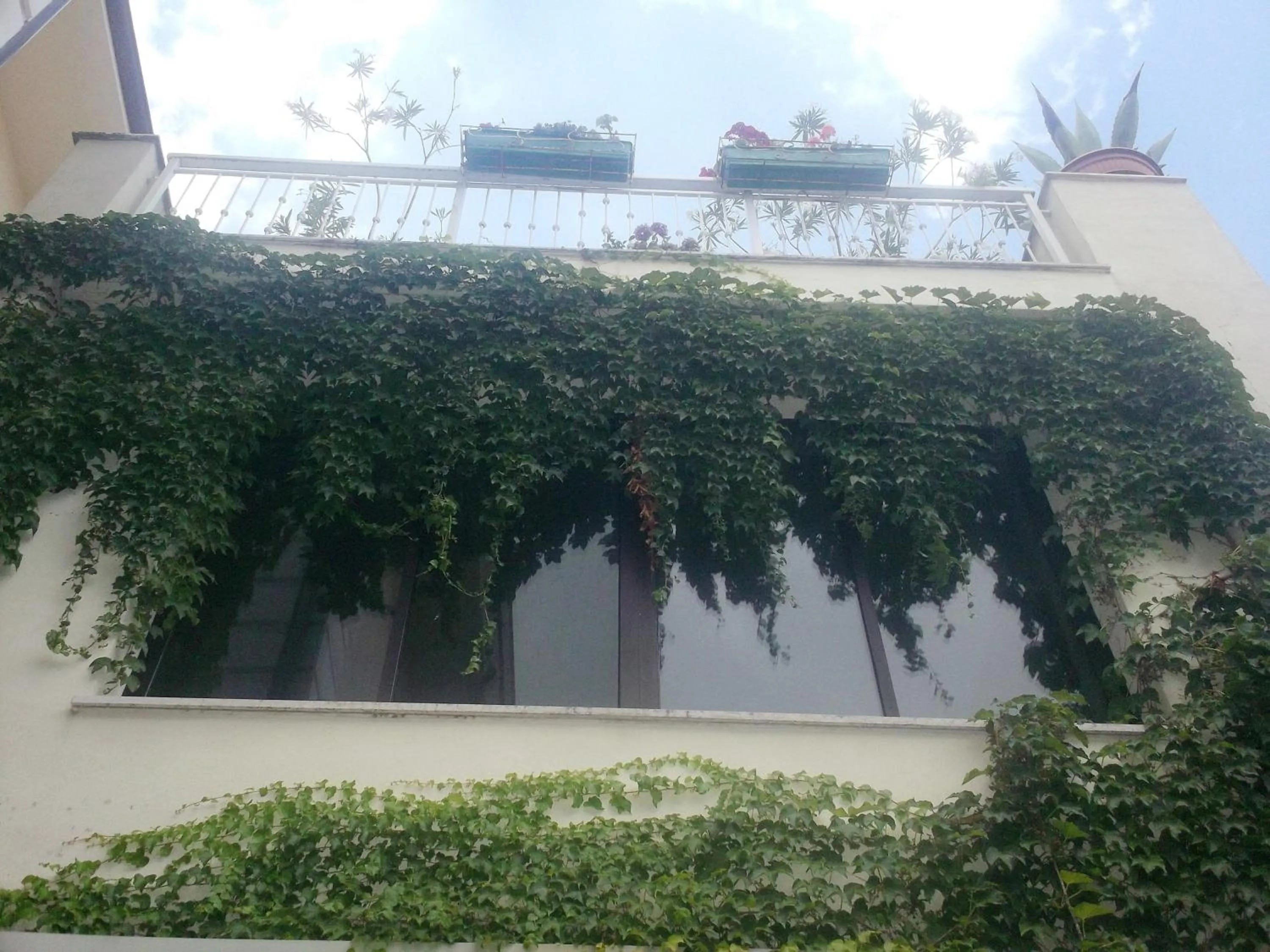 Decorative detail in Hotel Gaggiano