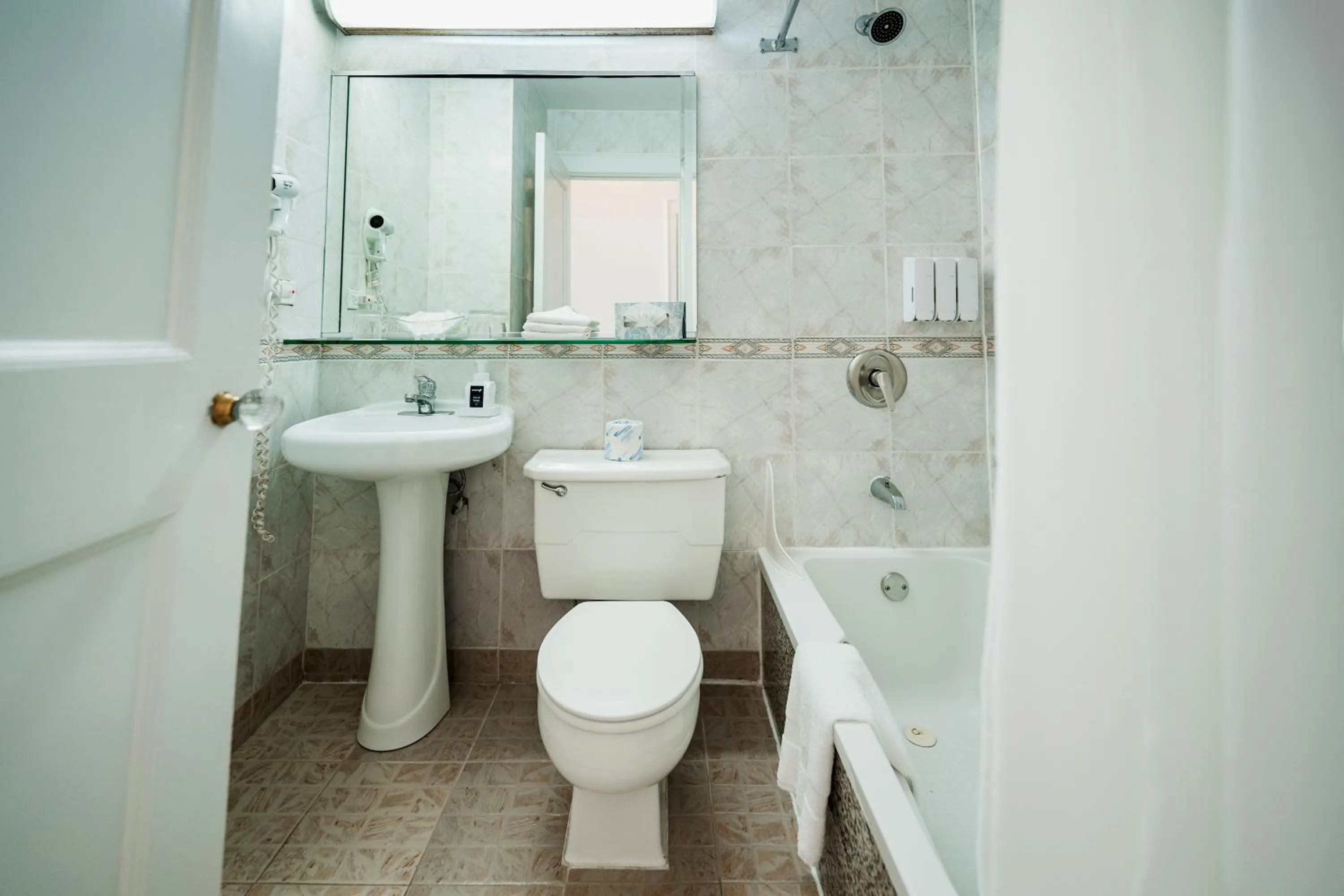 Toilet in Congress Plaza Hotel Chicago