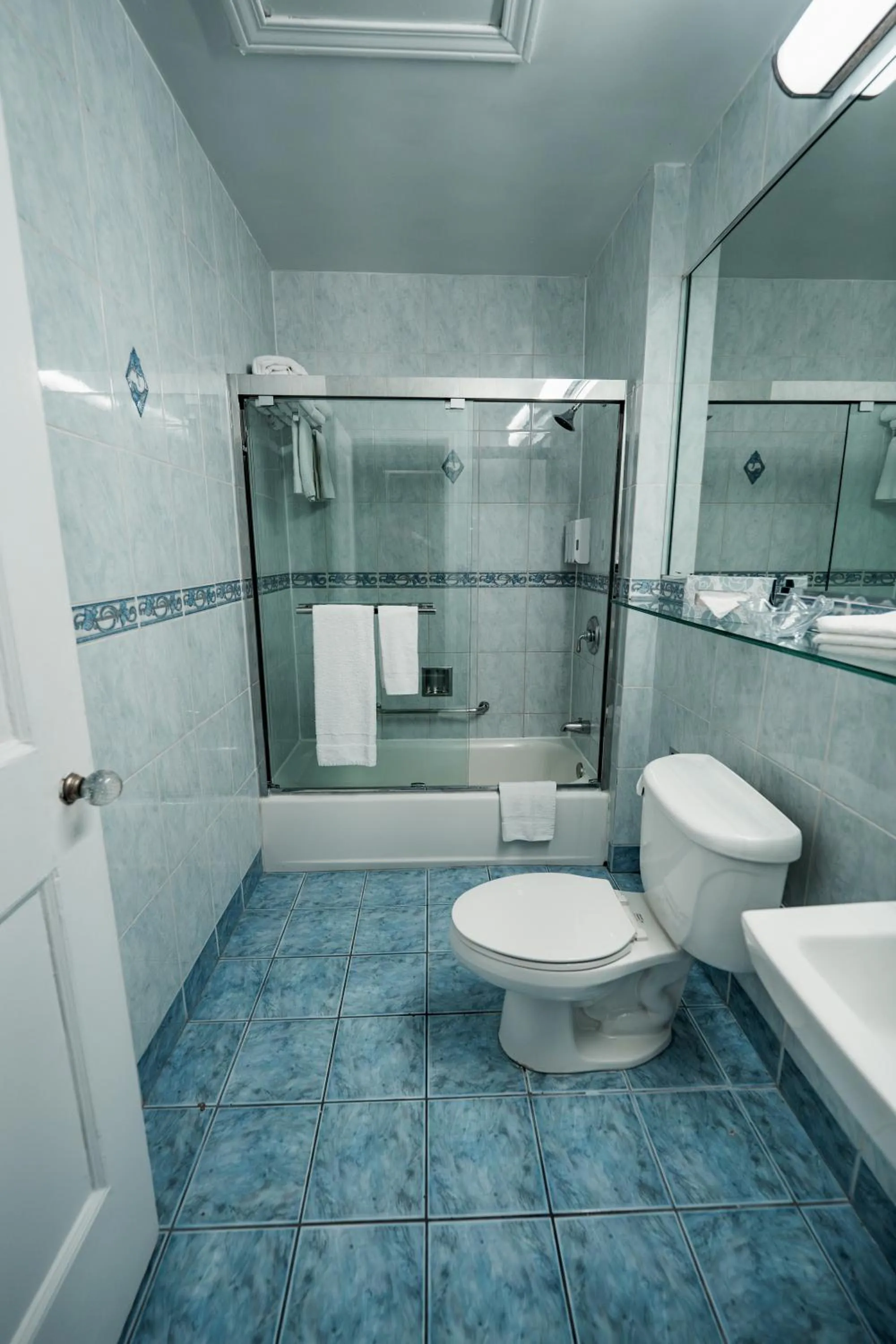 Toilet in Congress Plaza Hotel Chicago