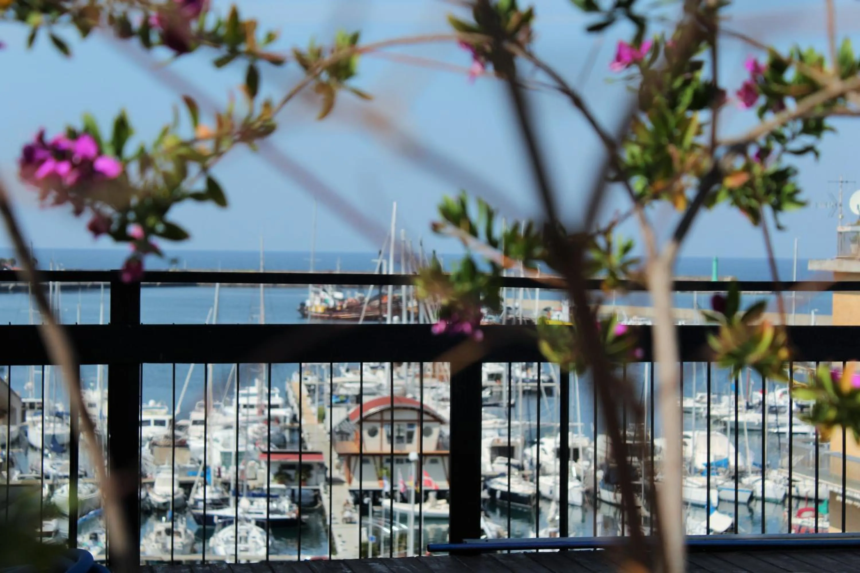 Balcony/Terrace in B&B Villa Delle Rondini