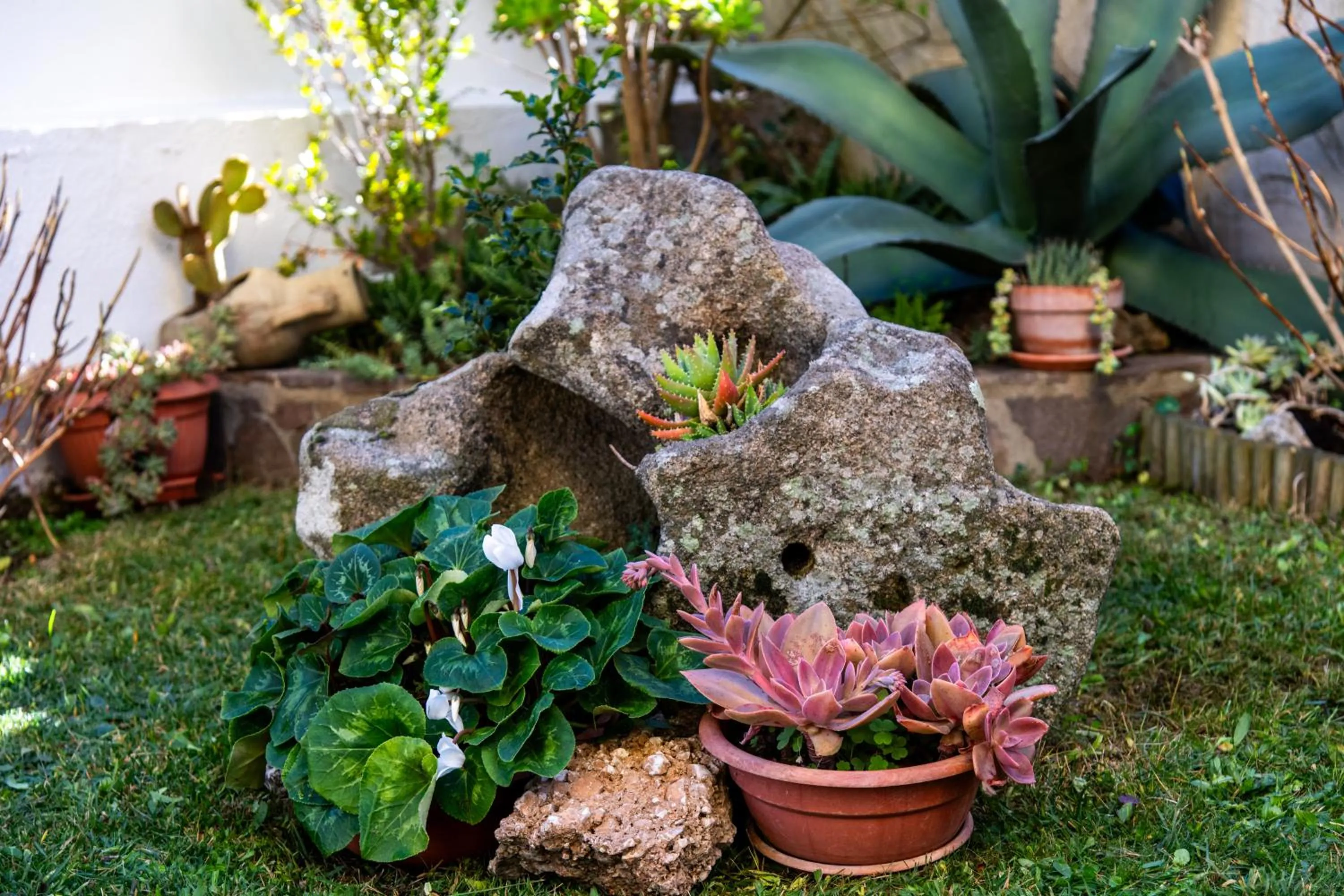 Garden in affittacamere S'Ortensia