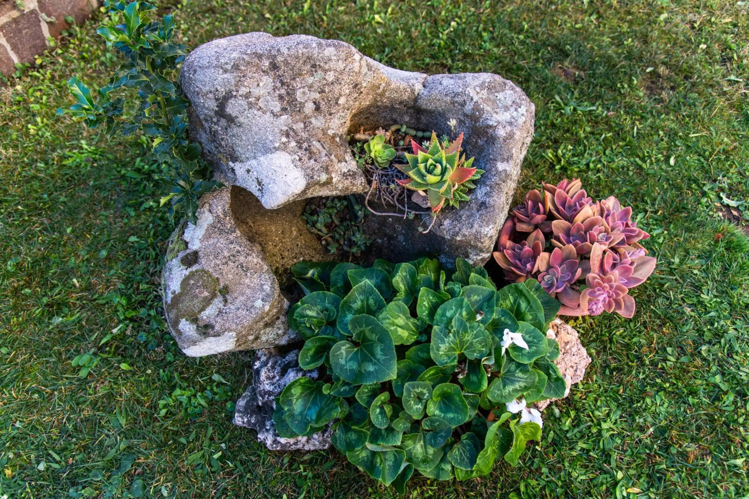 Garden in affittacamere S'Ortensia