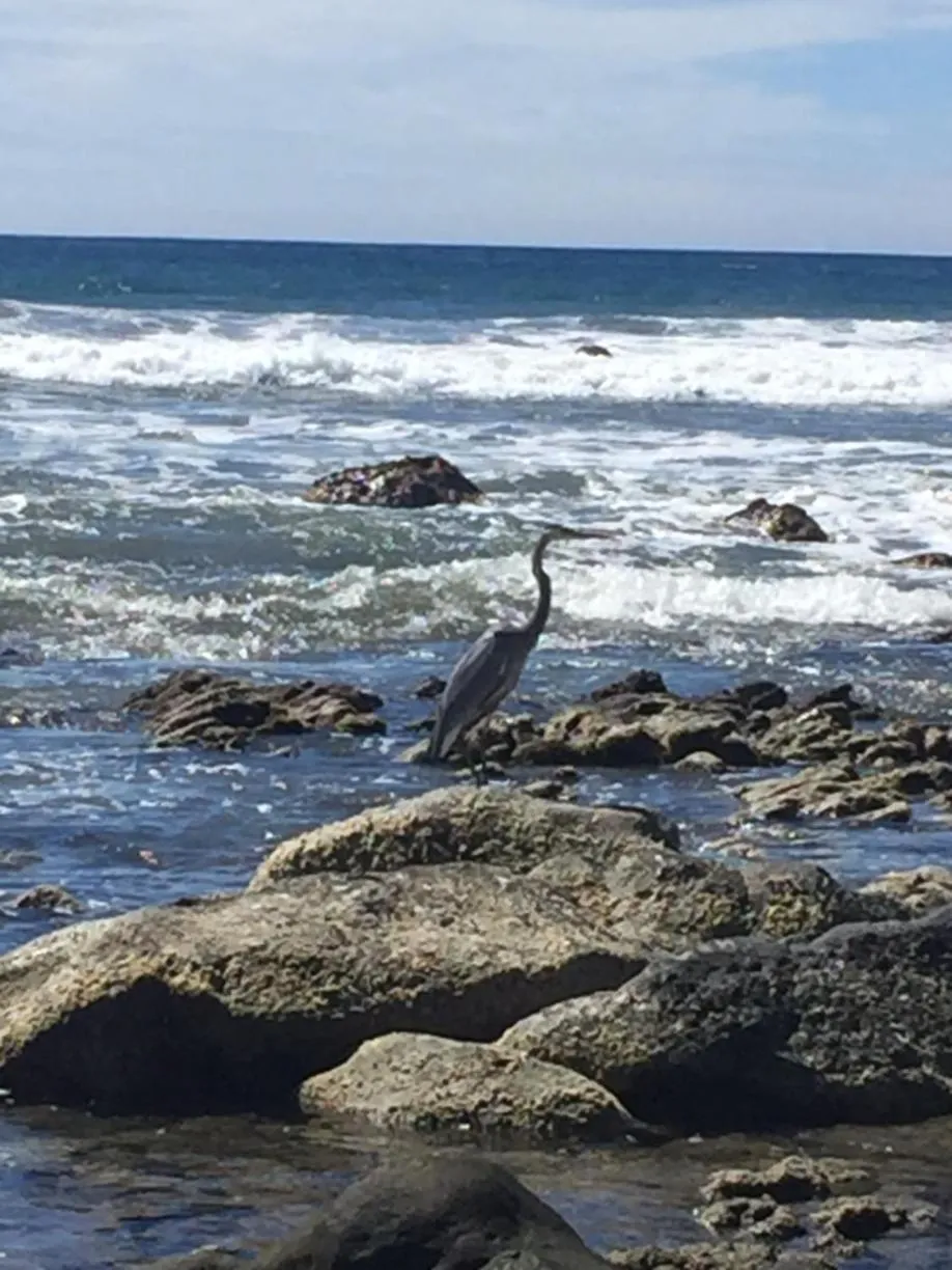 Natural landscape in Casa de la Costa