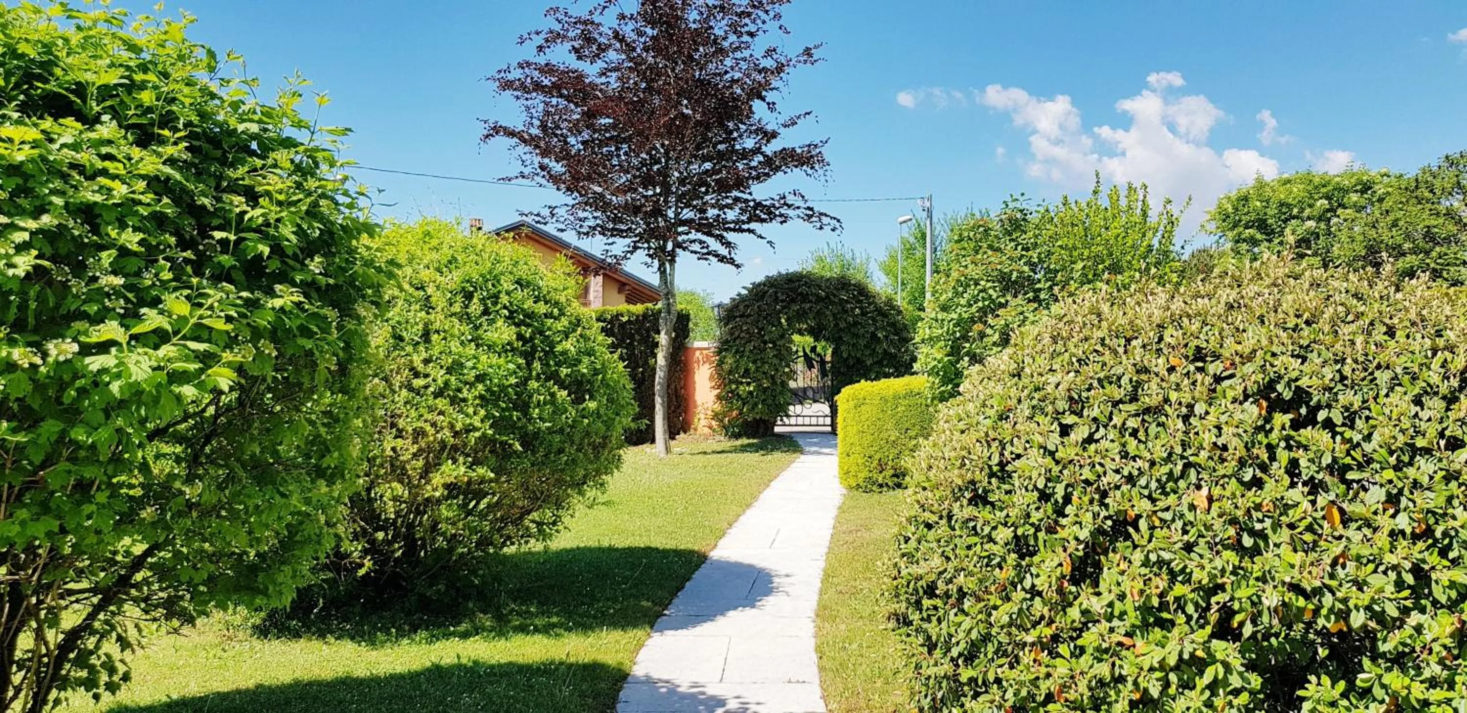 Garden in Bed & Breakfast Paradiso