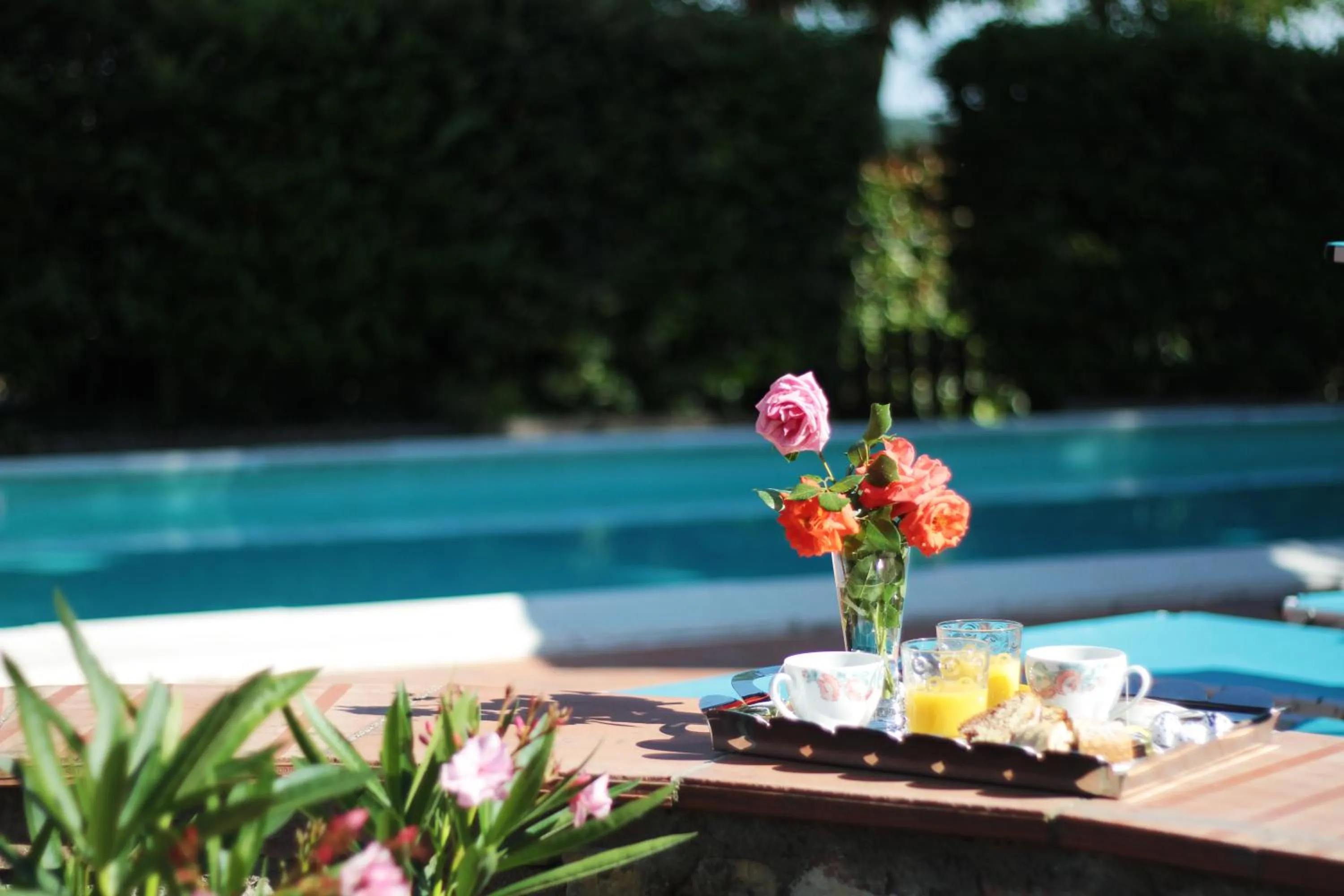 Swimming pool in Il Querceto
