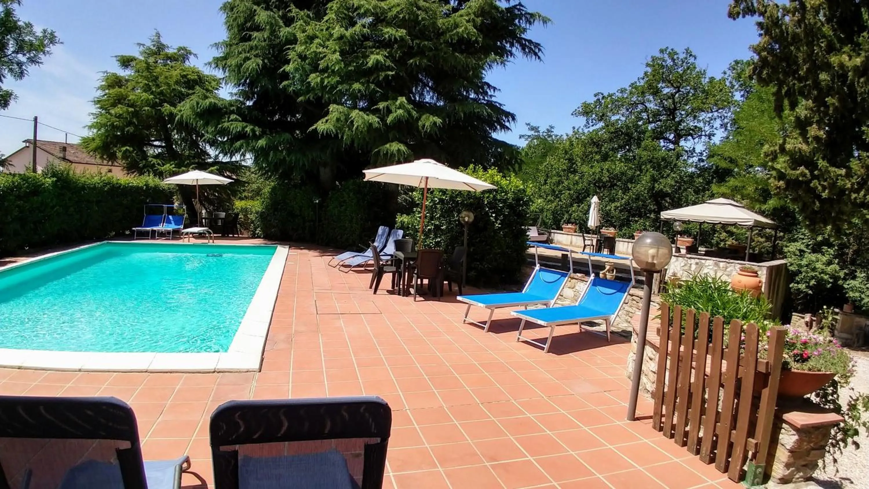 Swimming pool in Il Querceto