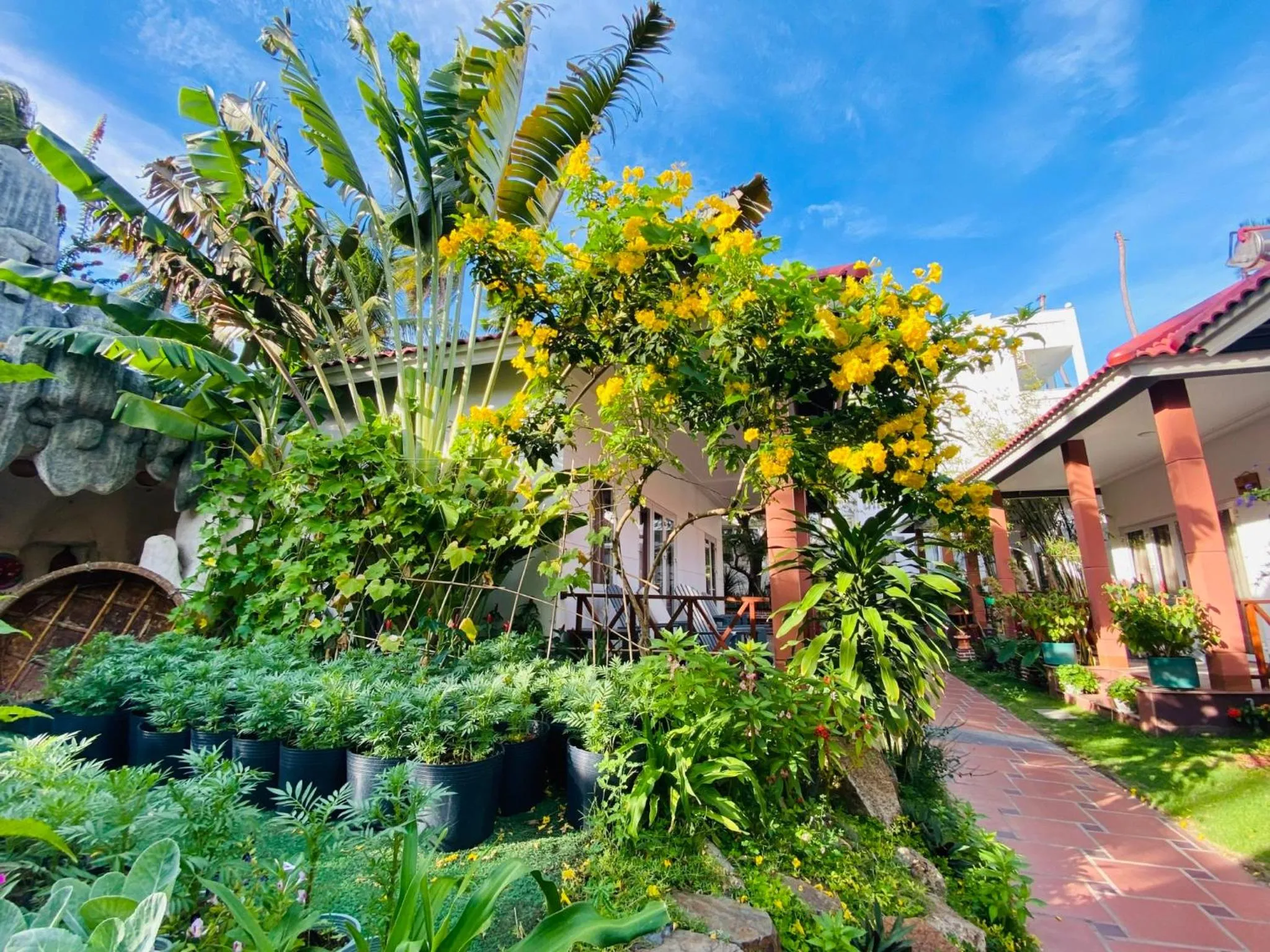 Day in Lotus Garden Muine Resort & Spa