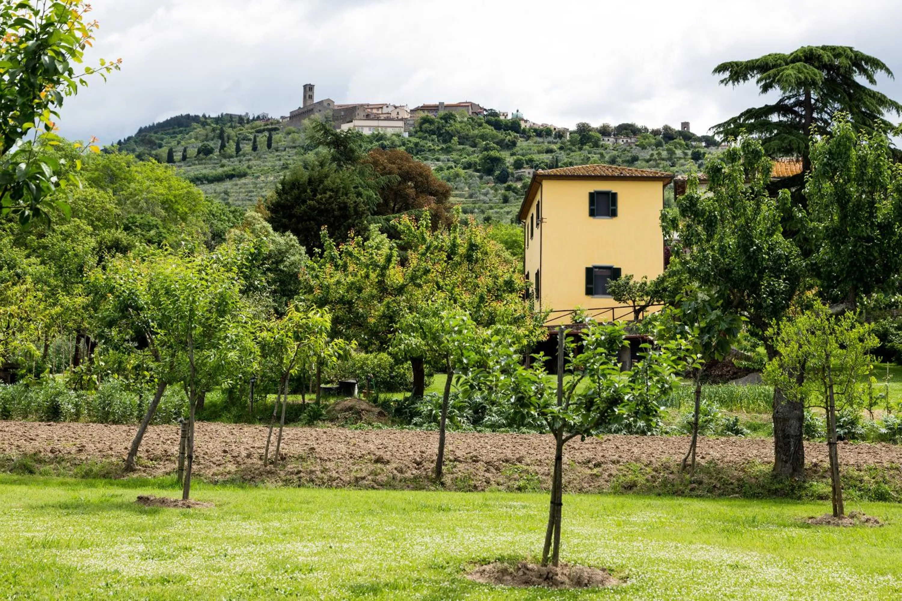 Facade/entrance in Casale Vacanze Il Granaio