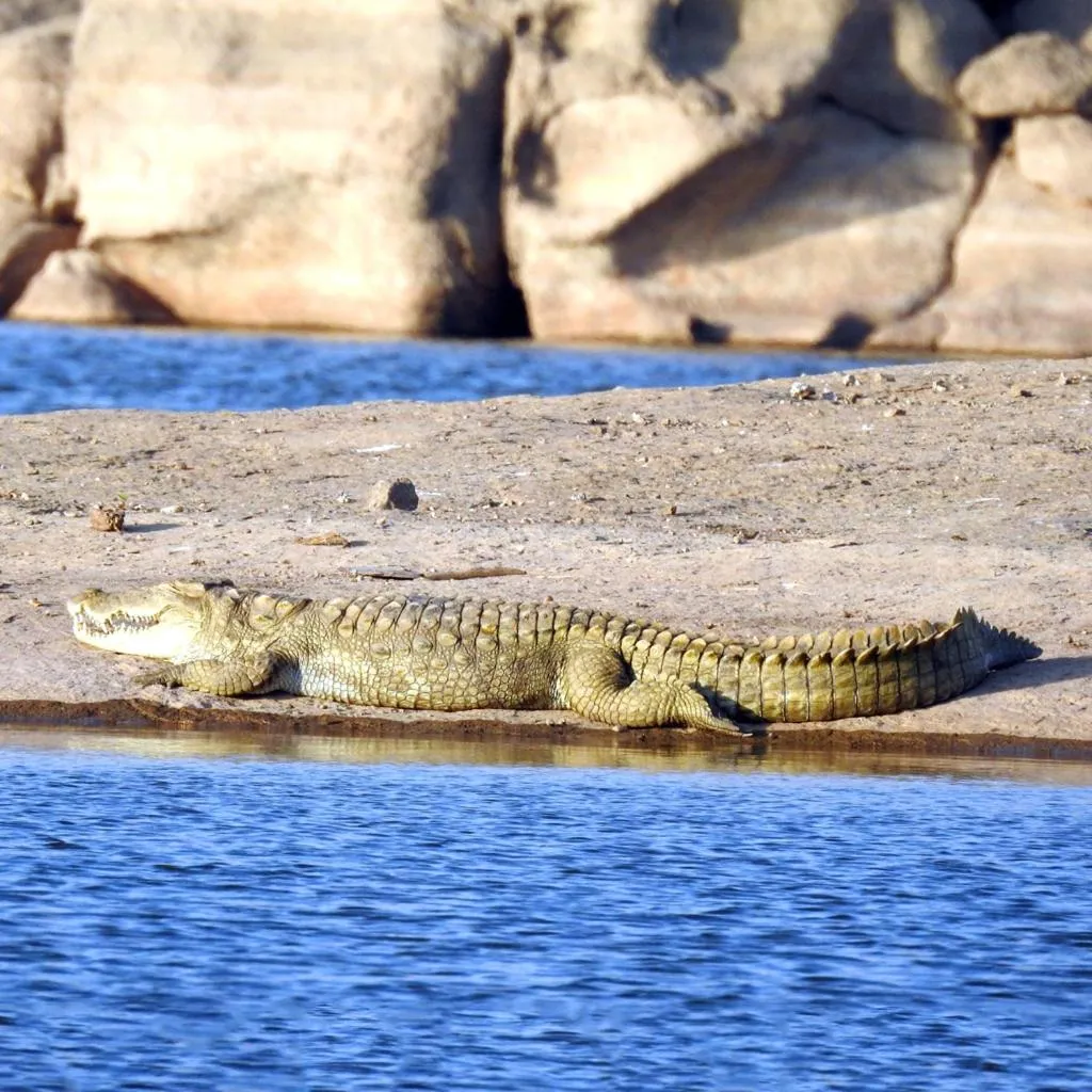 River view in Thour Nature Resorts - Jawai Leopard Safari Camp