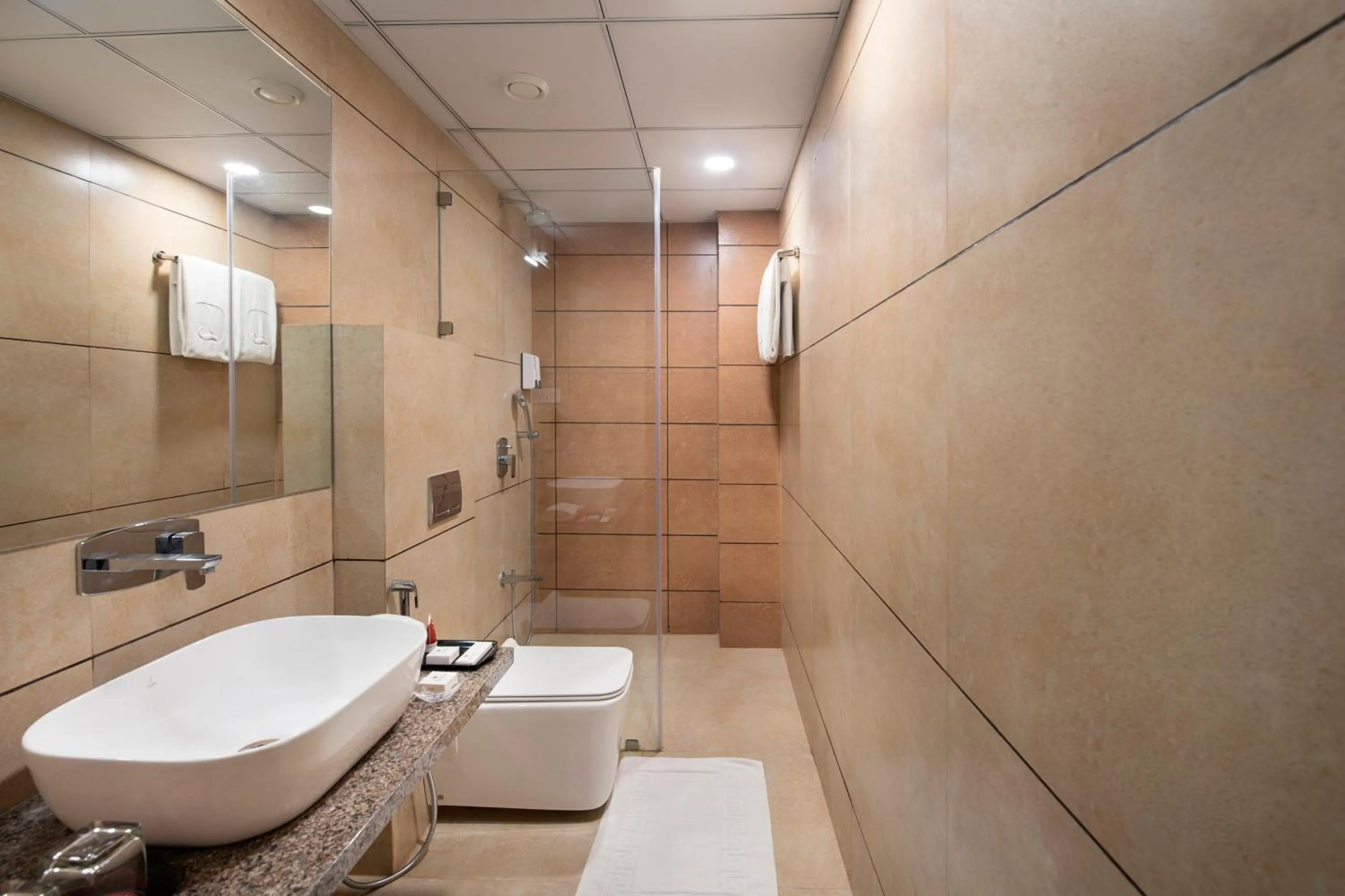 Bathroom in SK Lords Inn Ahmedabad
