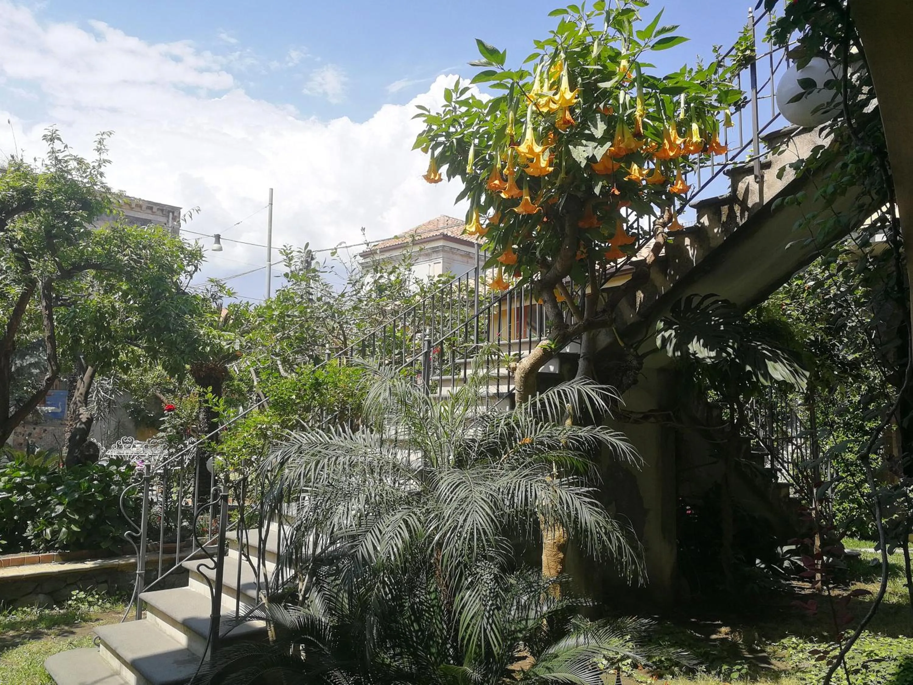 Bird's eye view in La Baronessa B&B