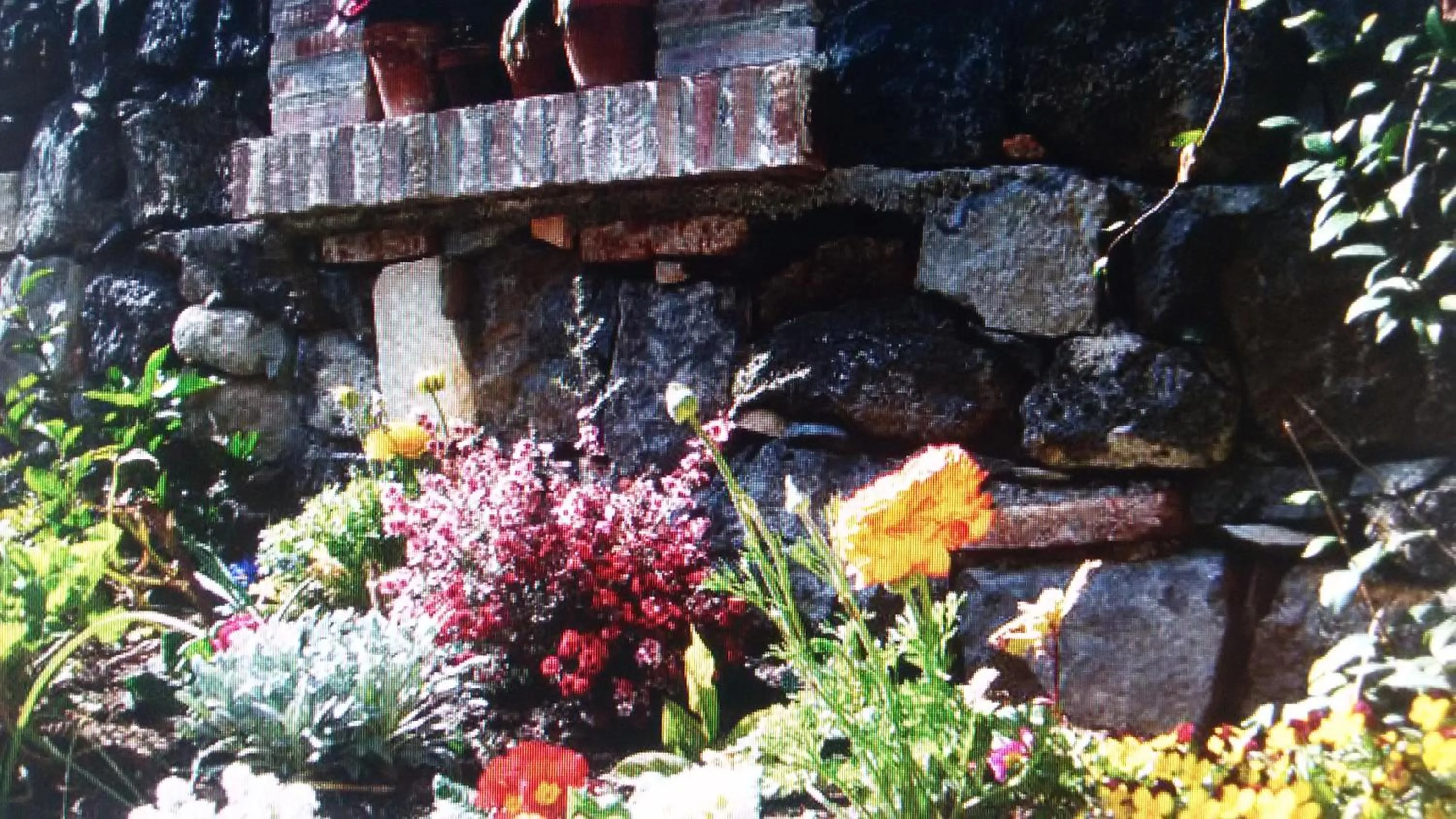 Garden in La Baronessa B&B