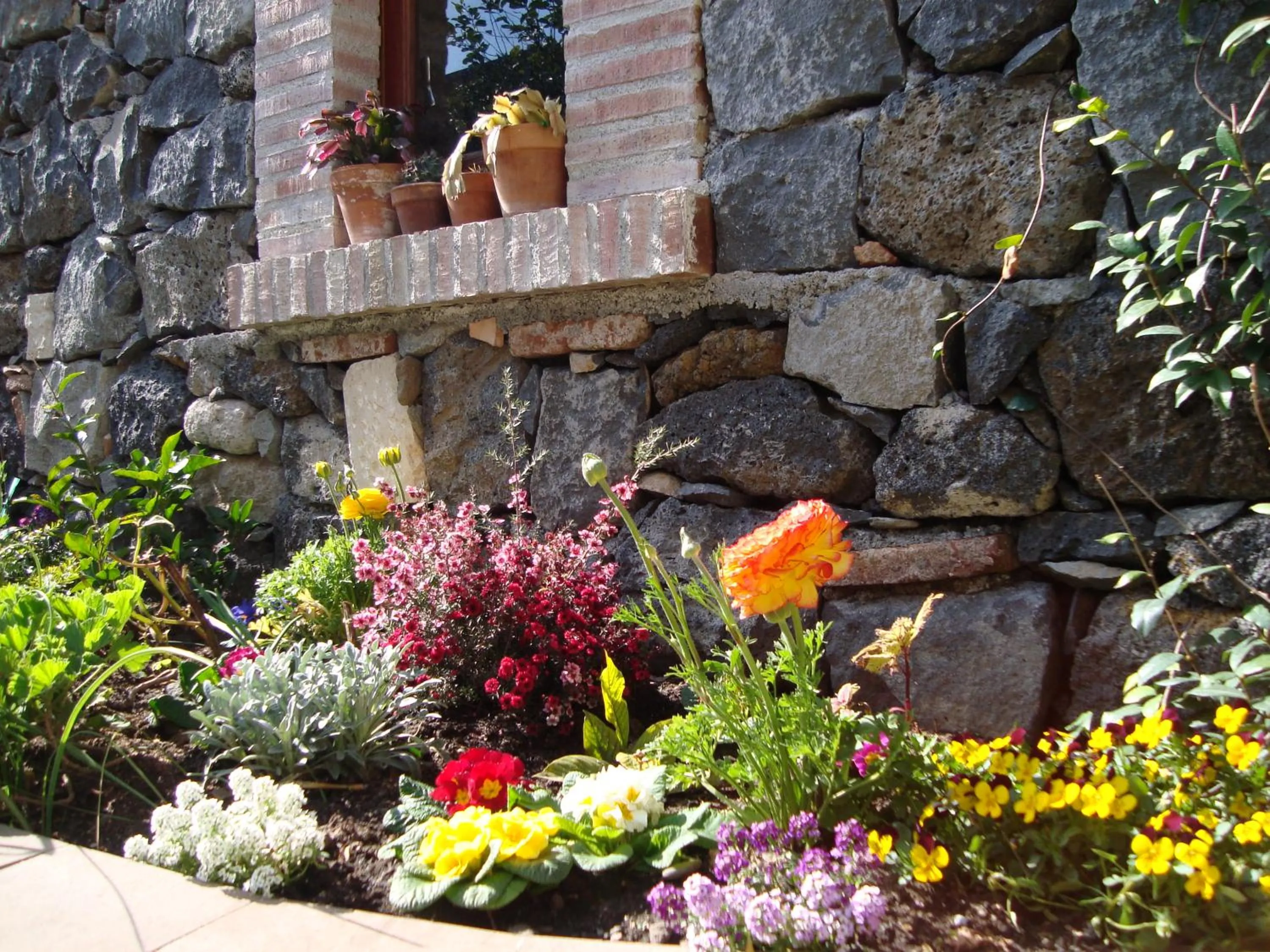 Garden in La Baronessa B&B