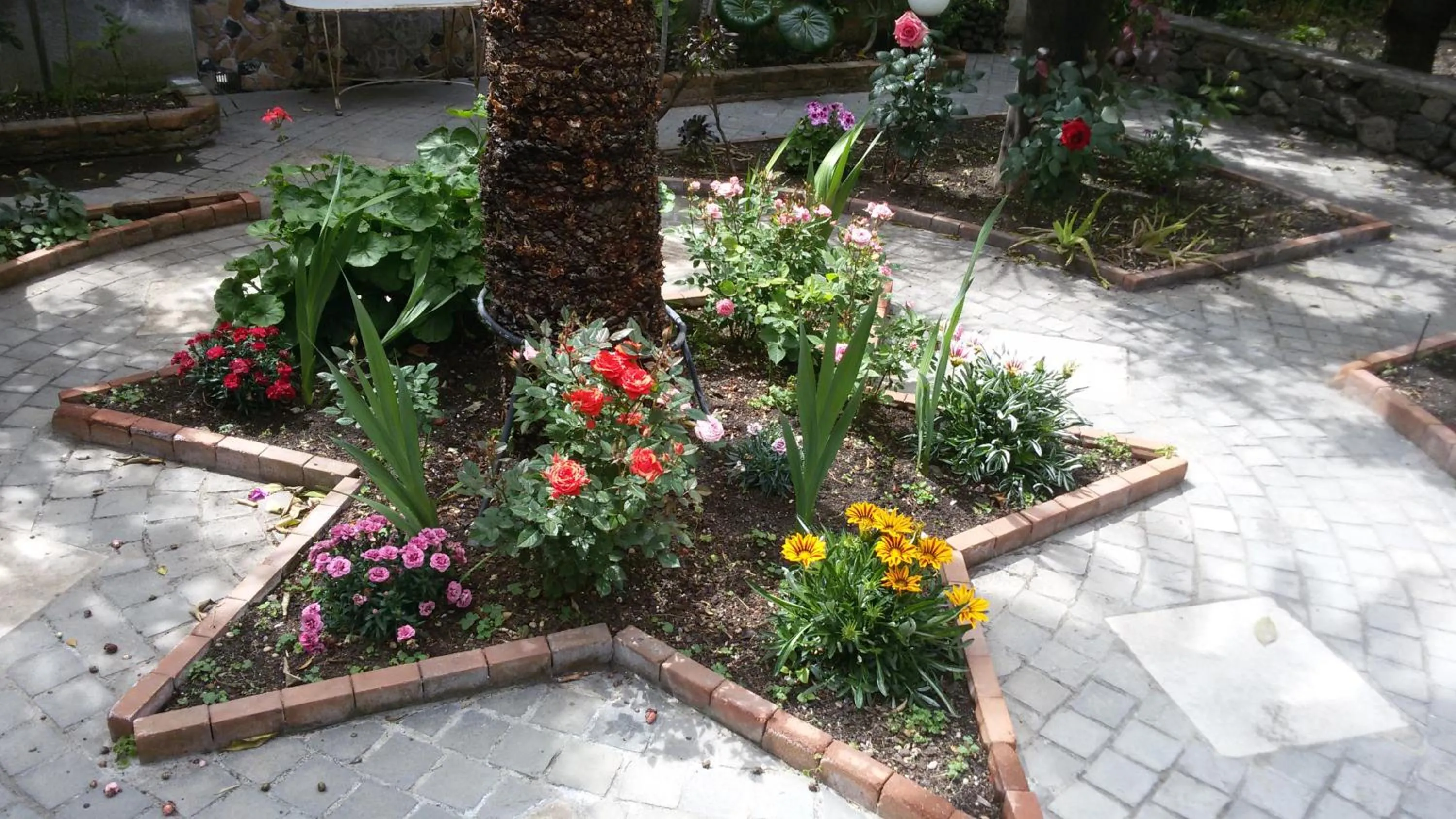 Garden in La Baronessa B&B