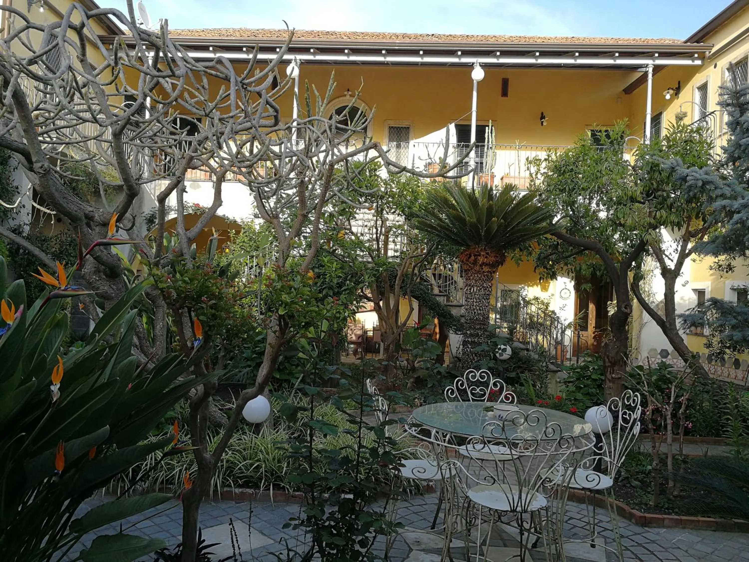 Garden view in La Baronessa B&B