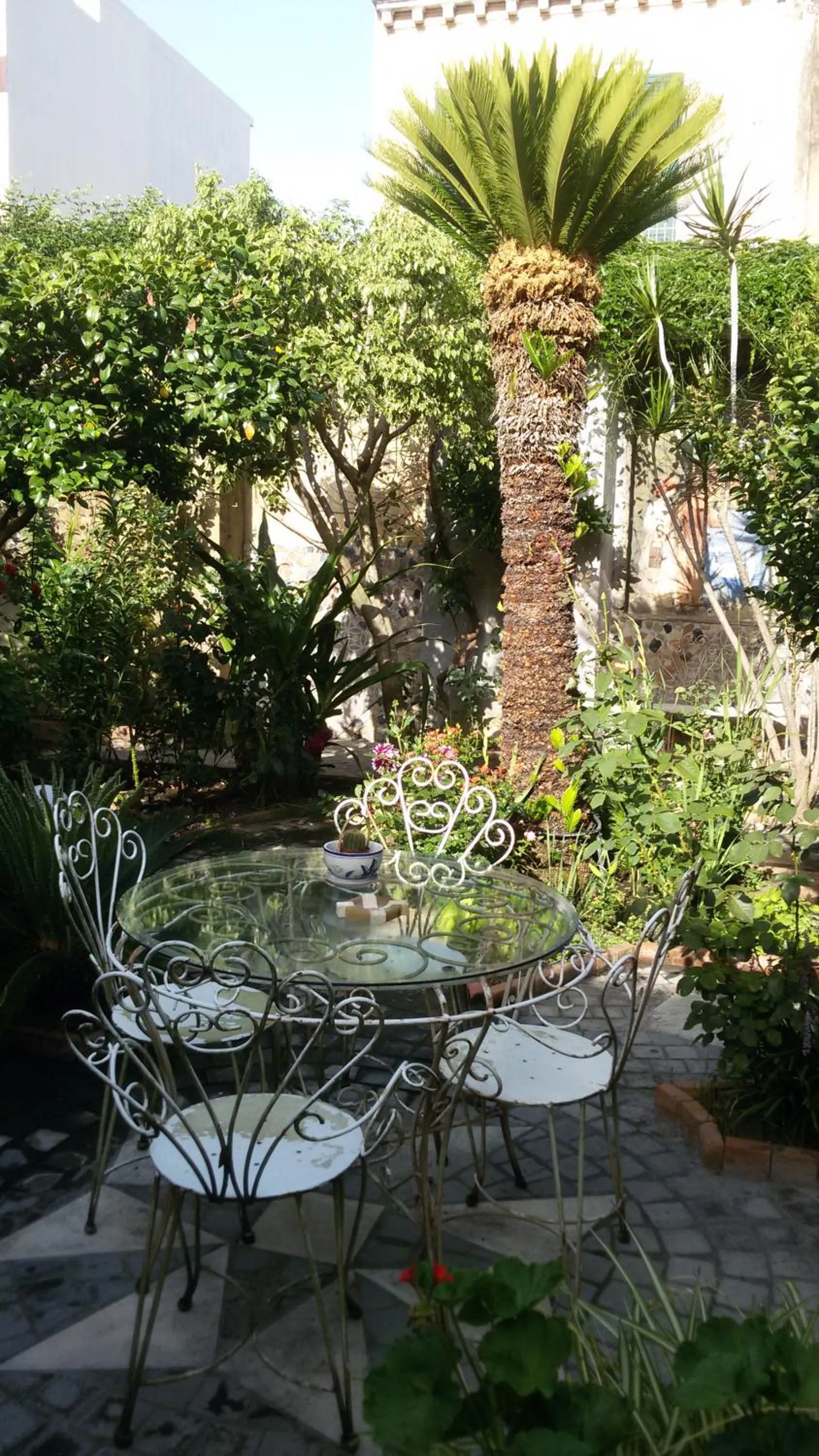 Garden in La Baronessa B&B