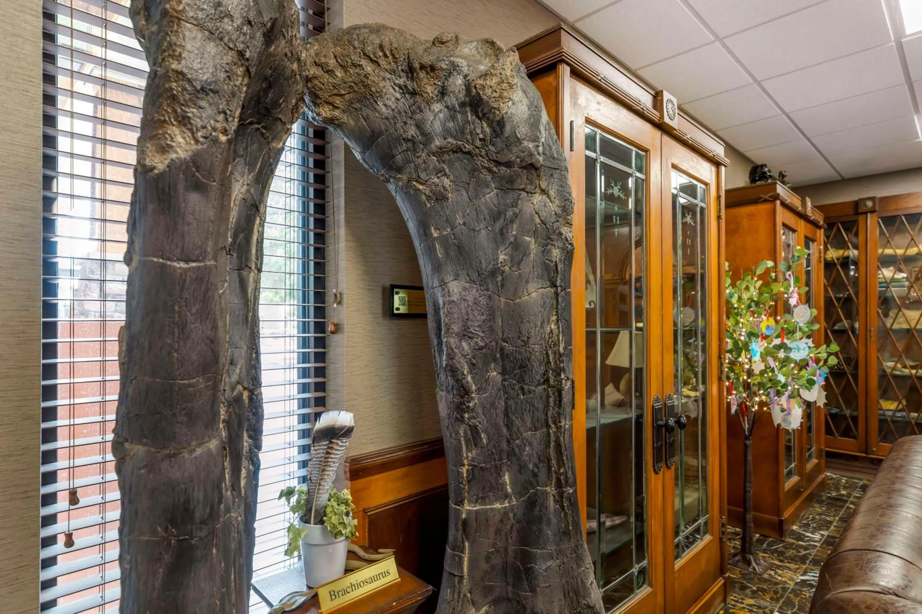 Lobby or reception in Best Western Denver Southwest