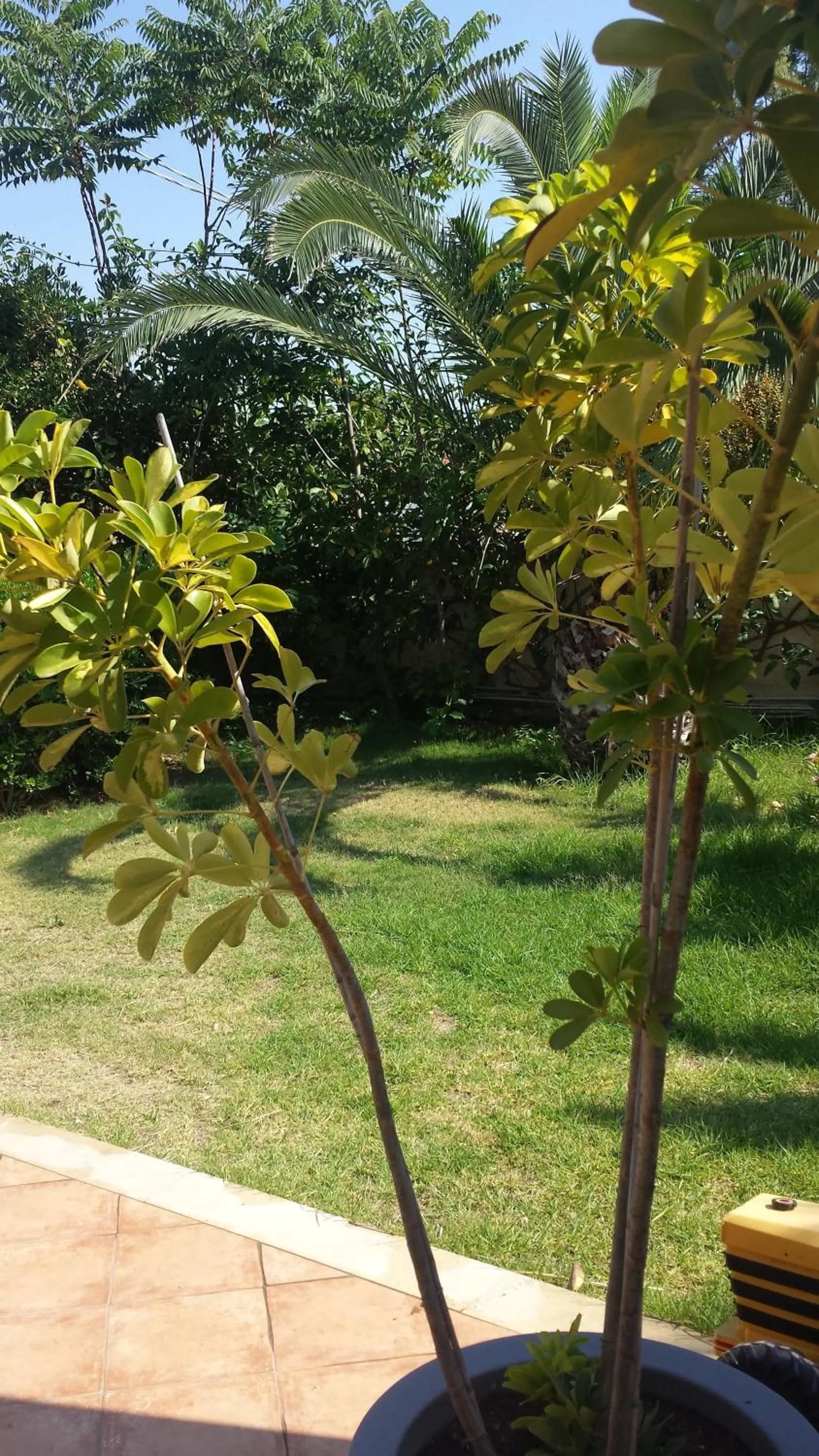Bed And Breakfast Perla Del Sole