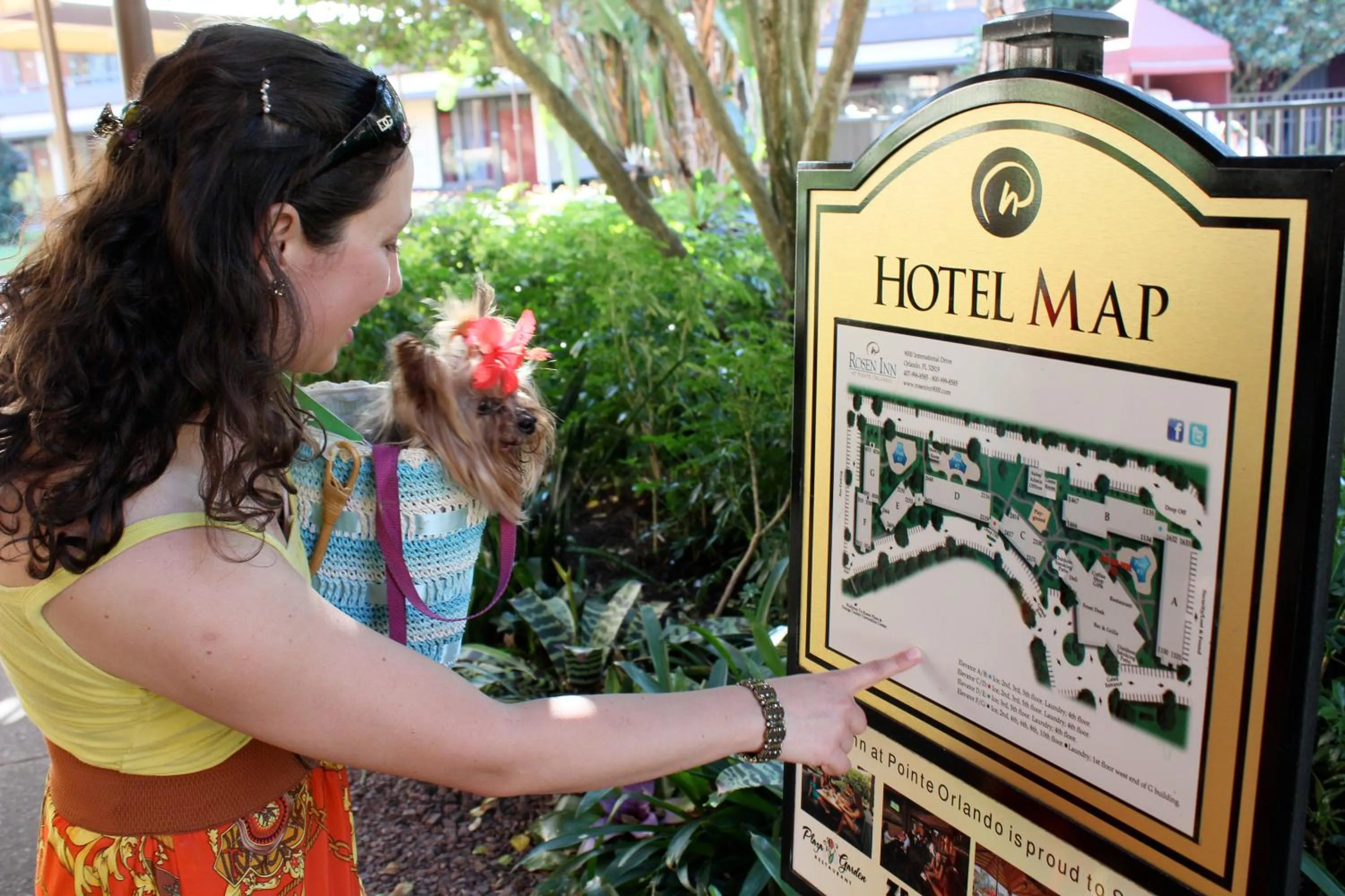 People in Rosen Inn at Pointe Orlando