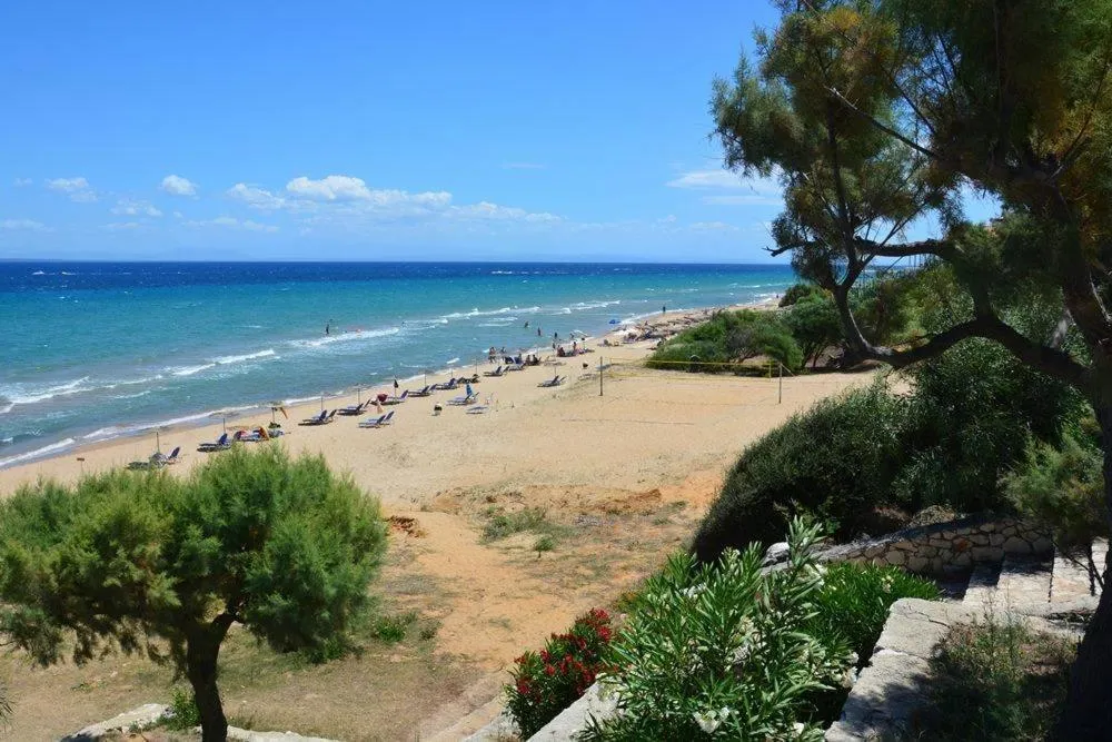 Natural landscape in Stamiris Beach Hotel
