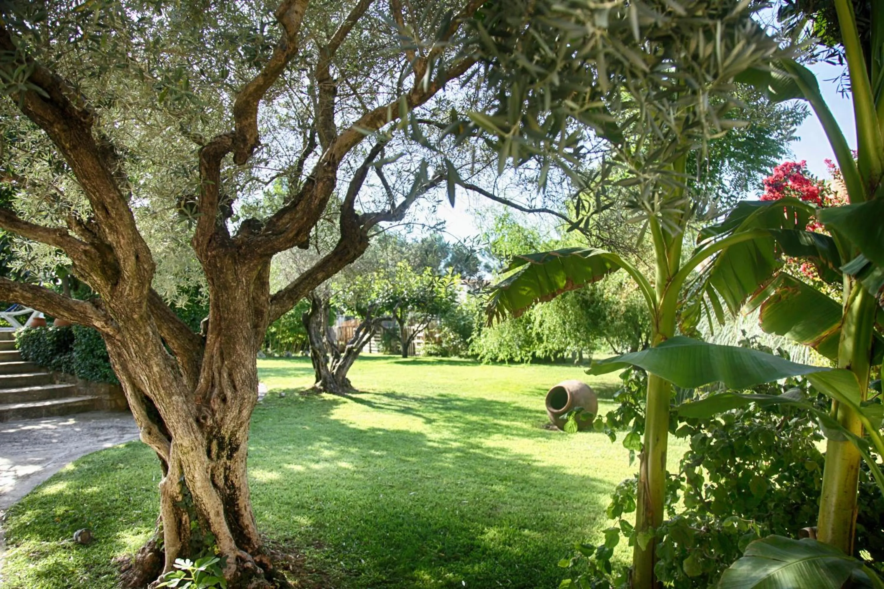 Garden in Bastide Sainte Agnès