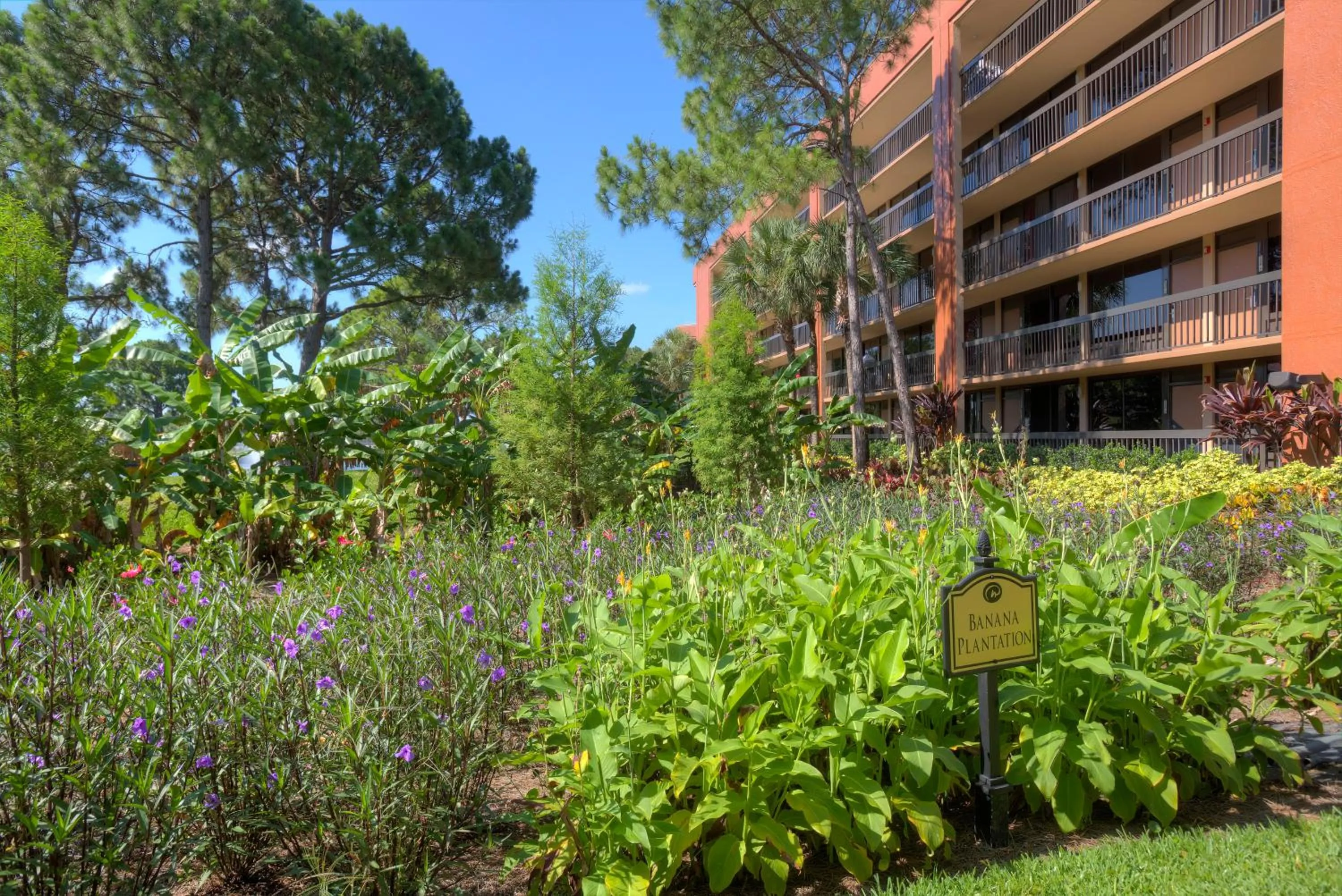 Property building in Rosen Inn Lake Buena Vista