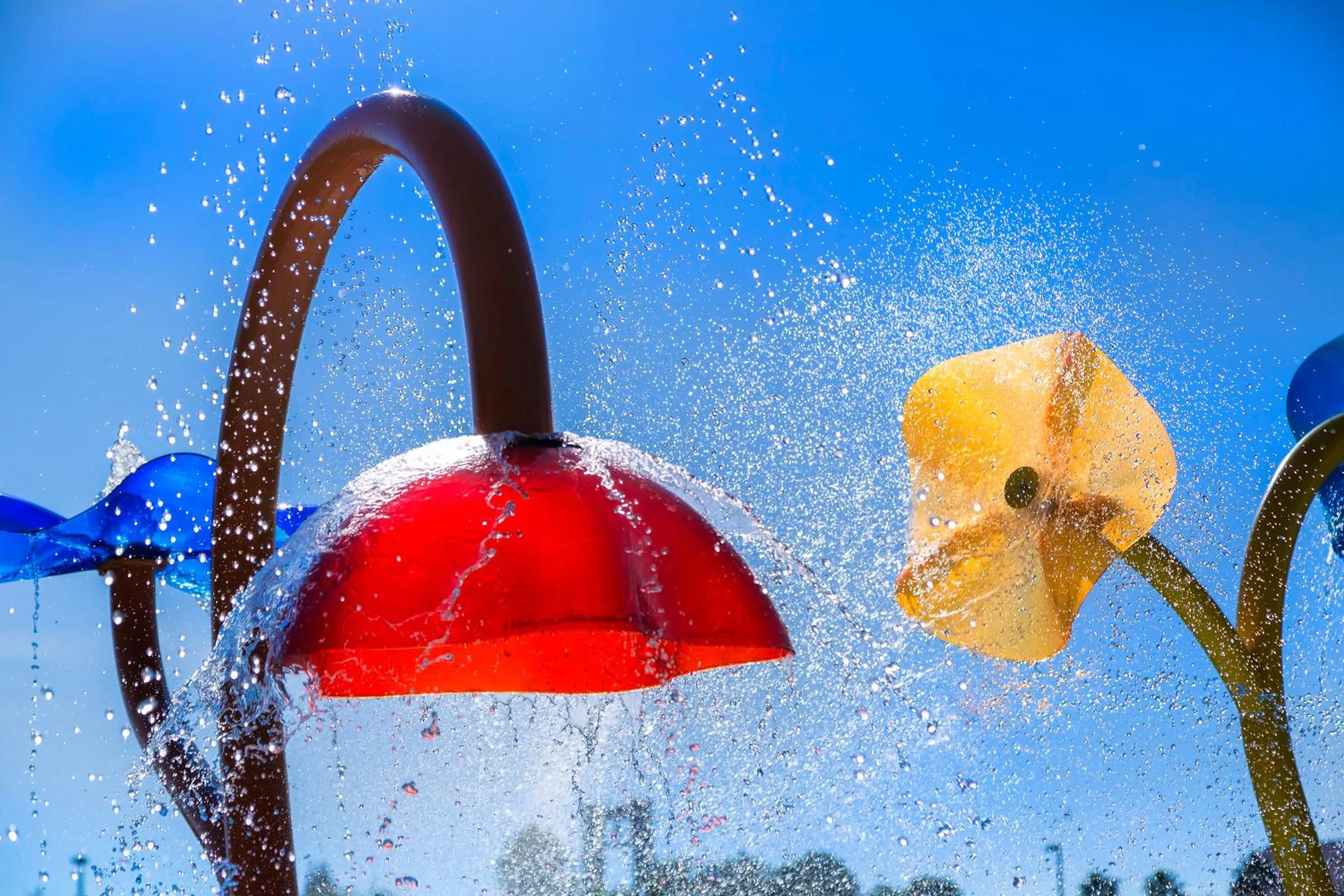 Activities in Rosen Inn Lake Buena Vista