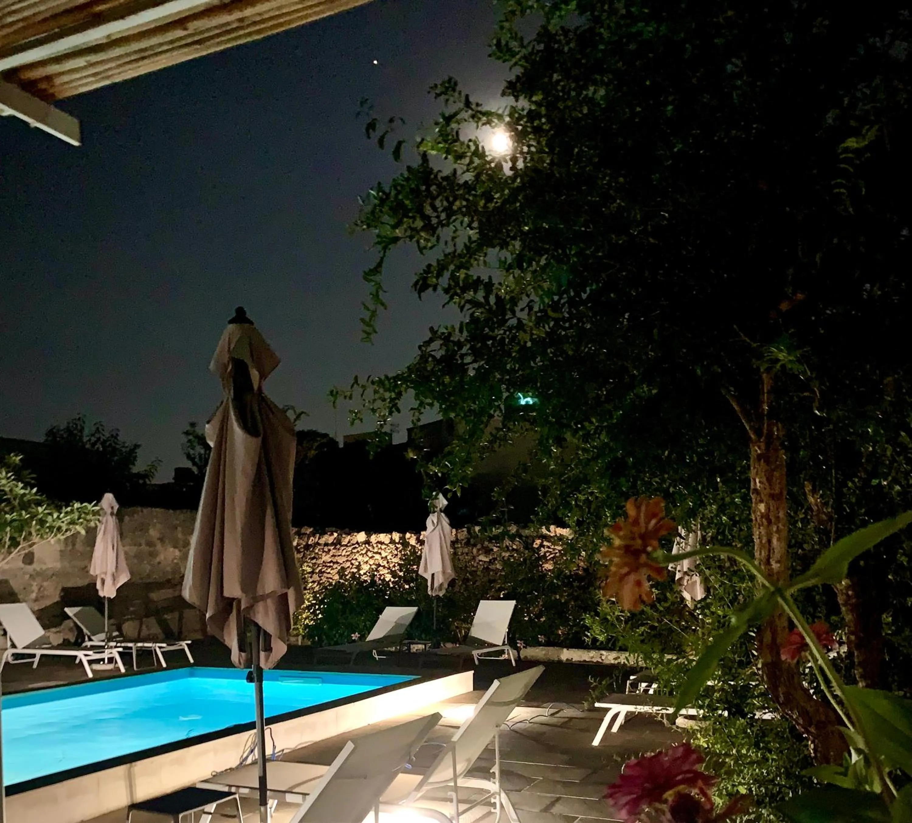 Garden in B&B Don Alessandro