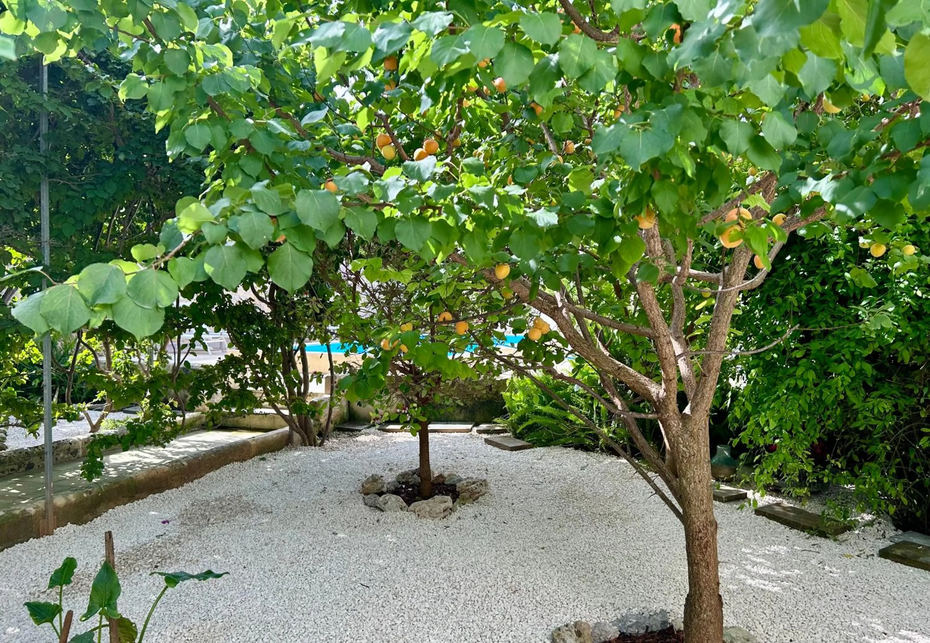 Swimming pool in B&B Don Alessandro