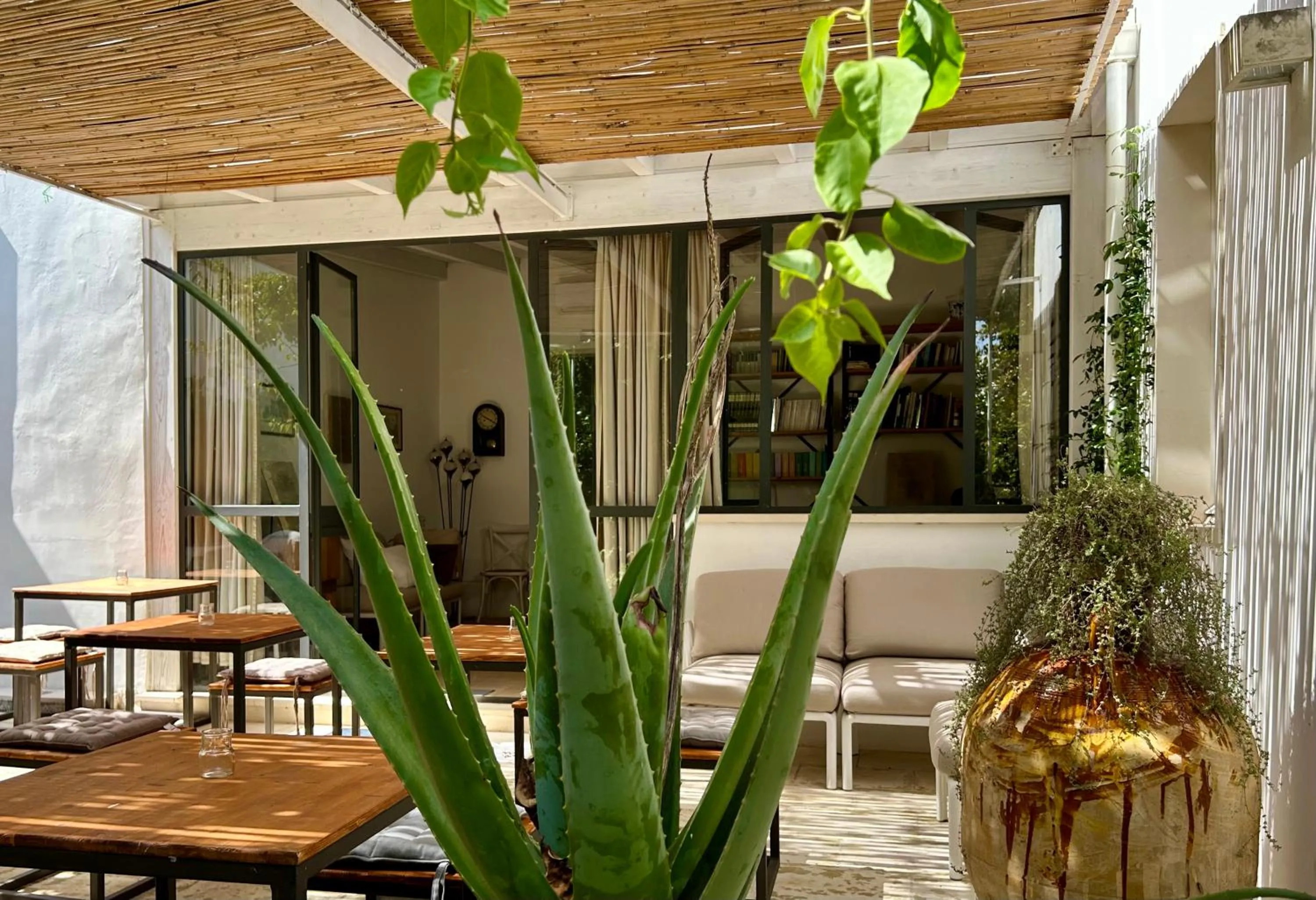 Patio in B&B Don Alessandro