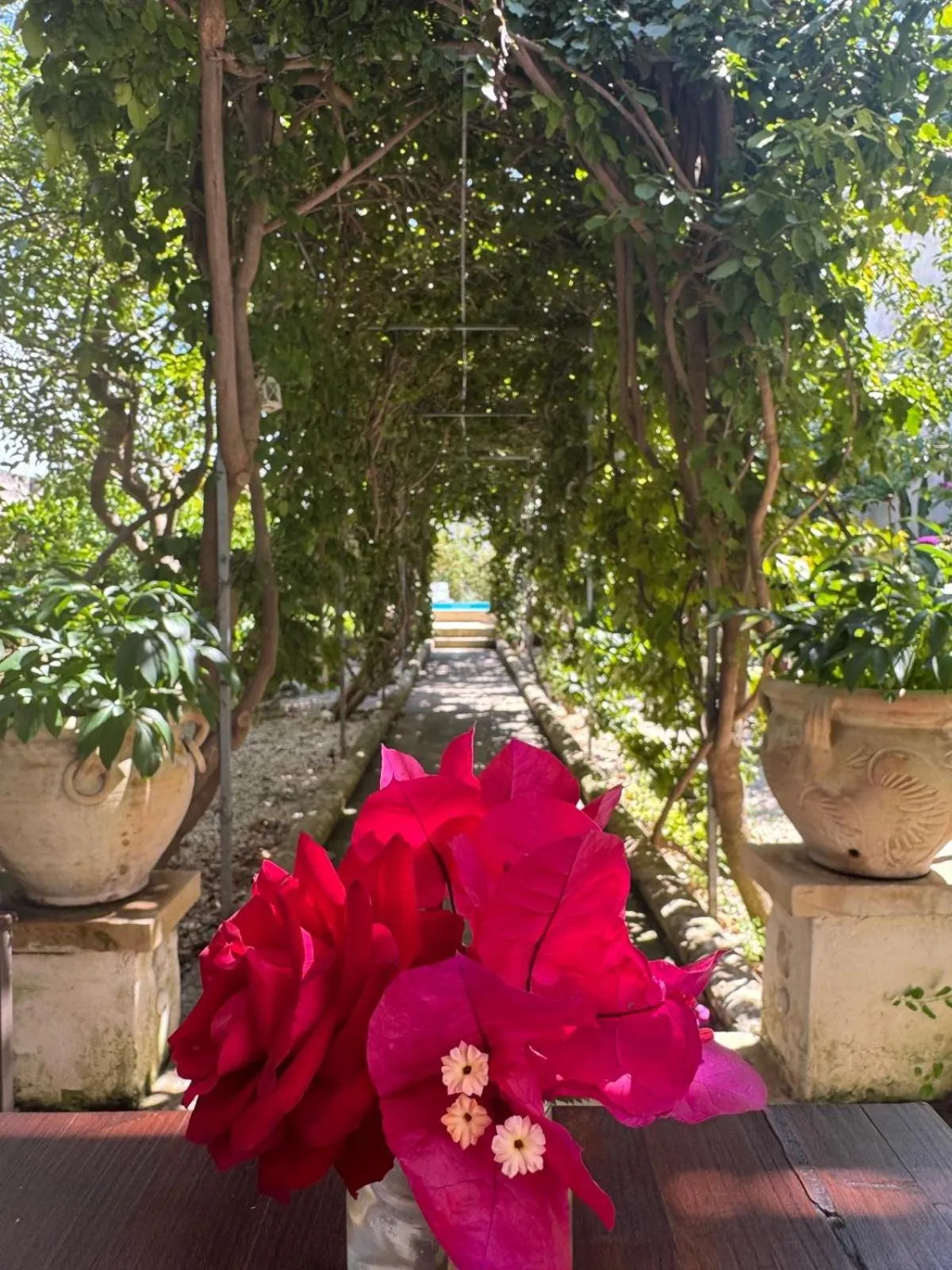 Day in B&B Don Alessandro