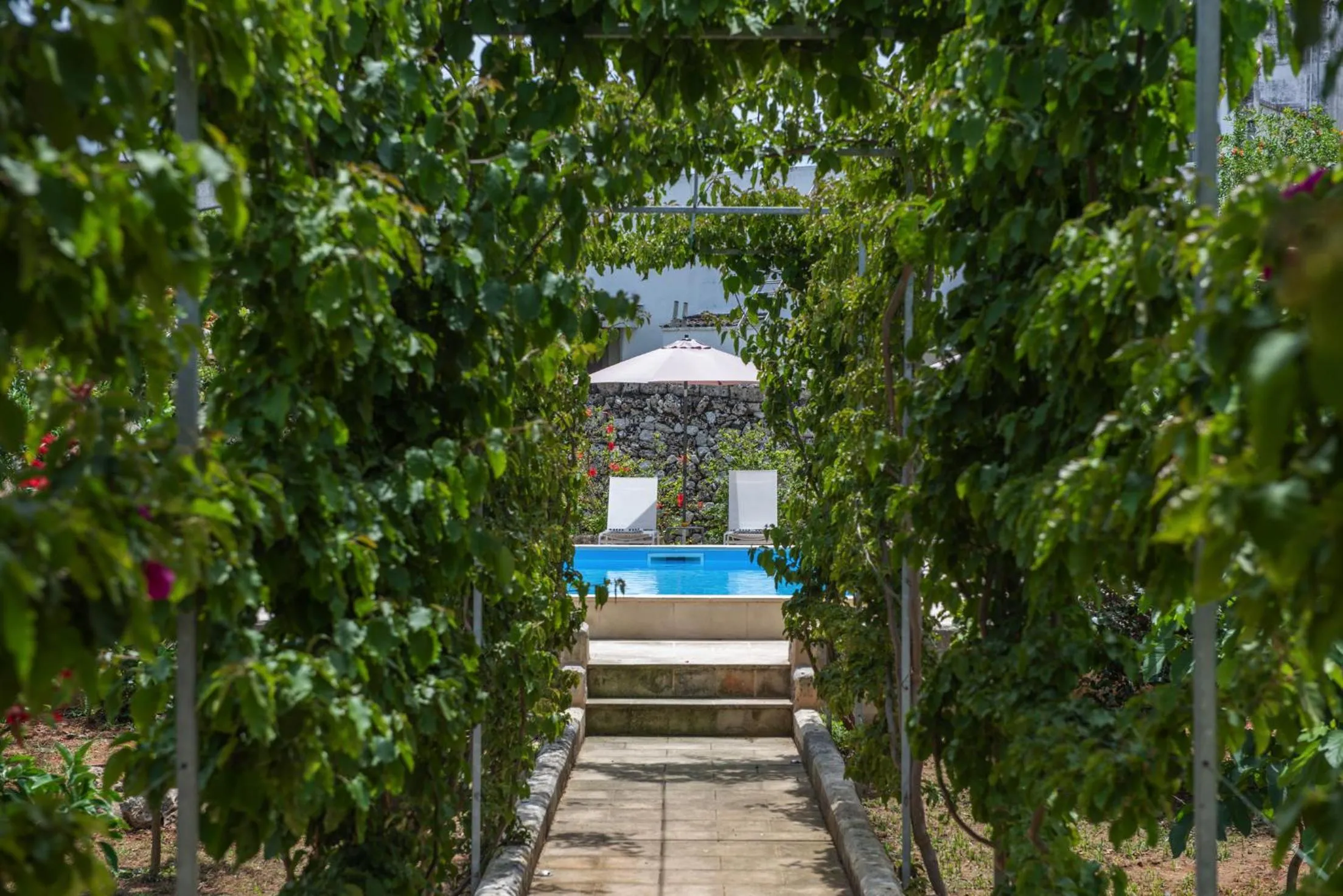 Day in B&B Don Alessandro