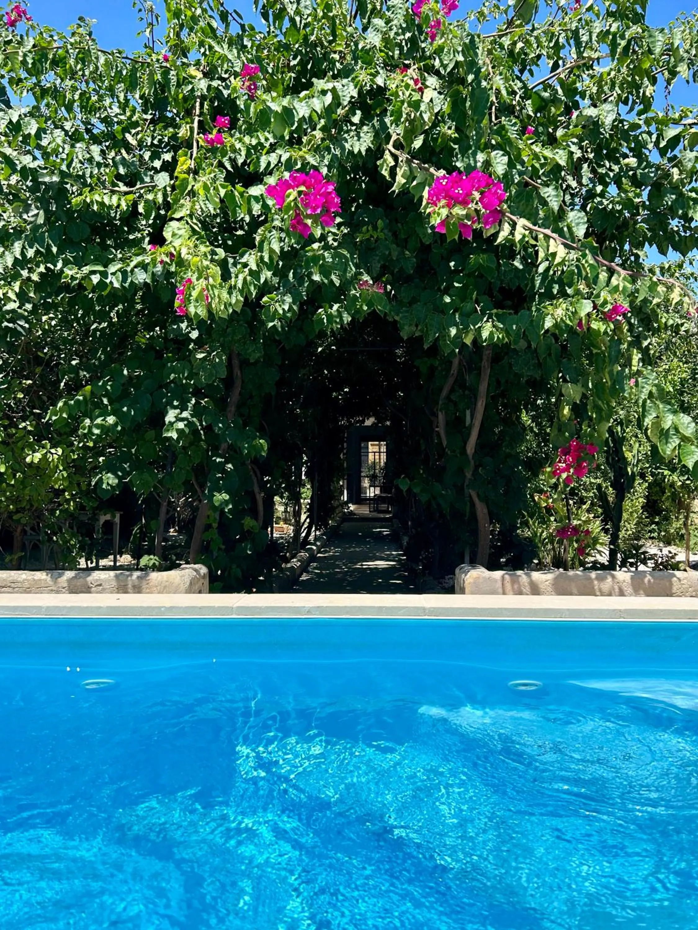 Garden in B&B Don Alessandro