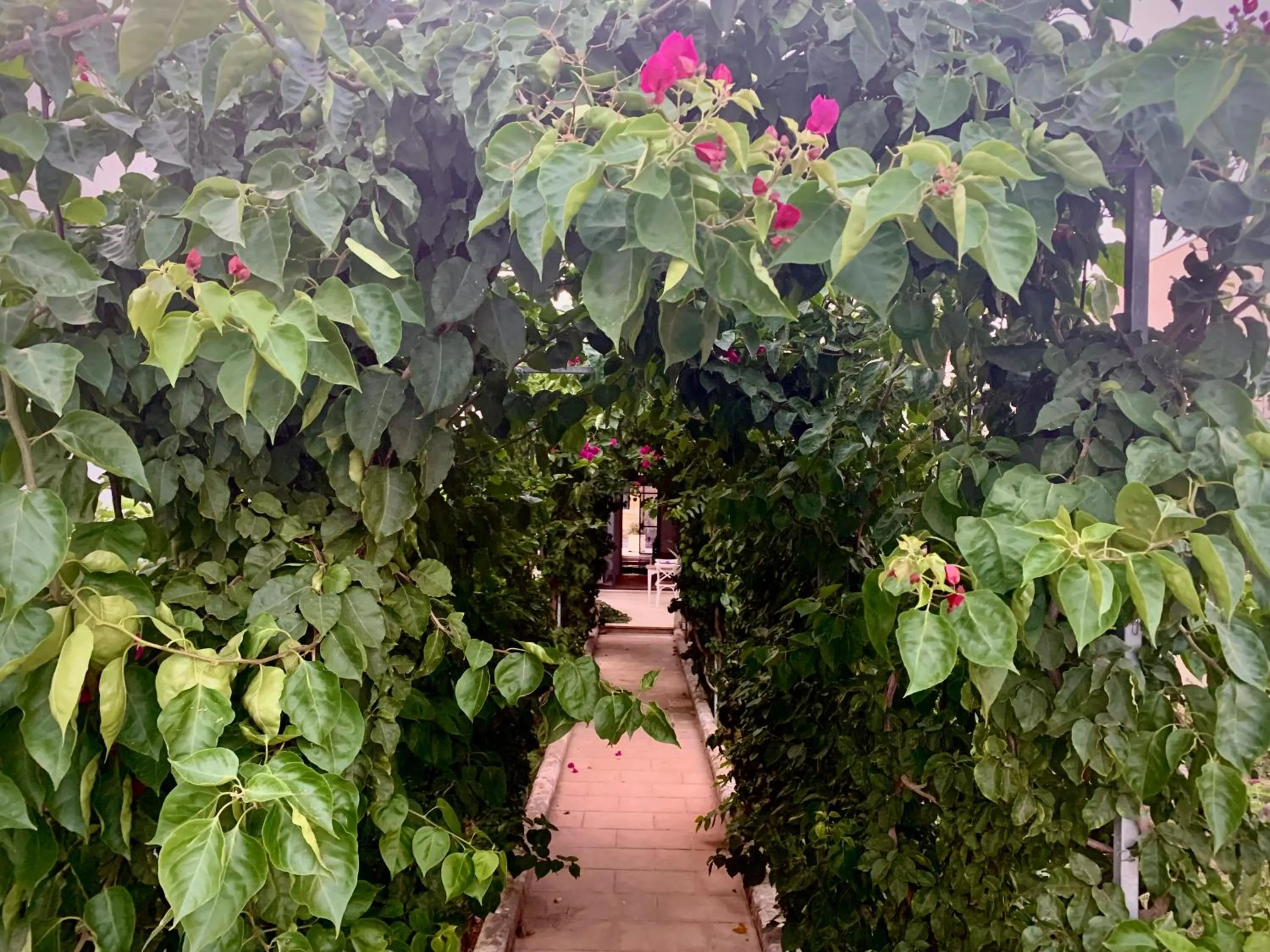 Day in B&B Don Alessandro