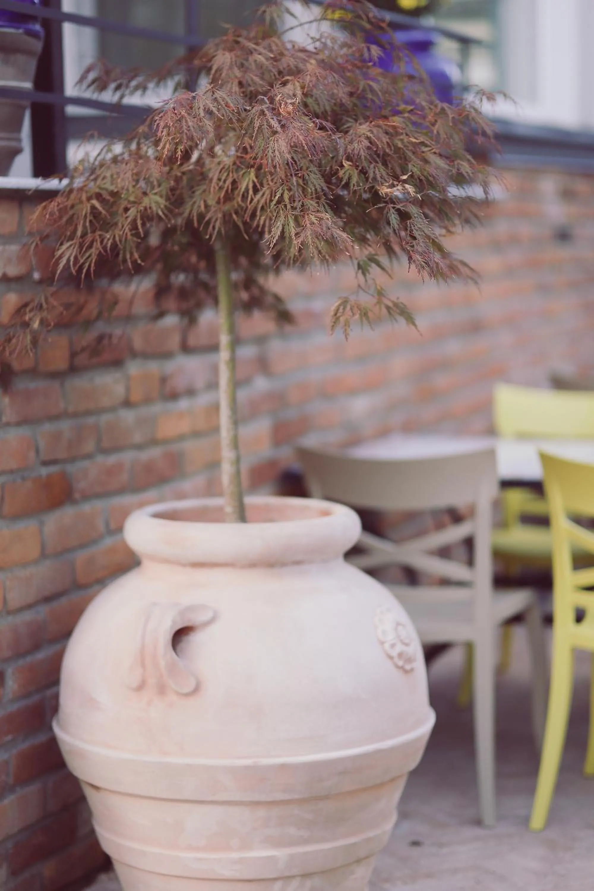 Decorative detail in Villa Piazzetta