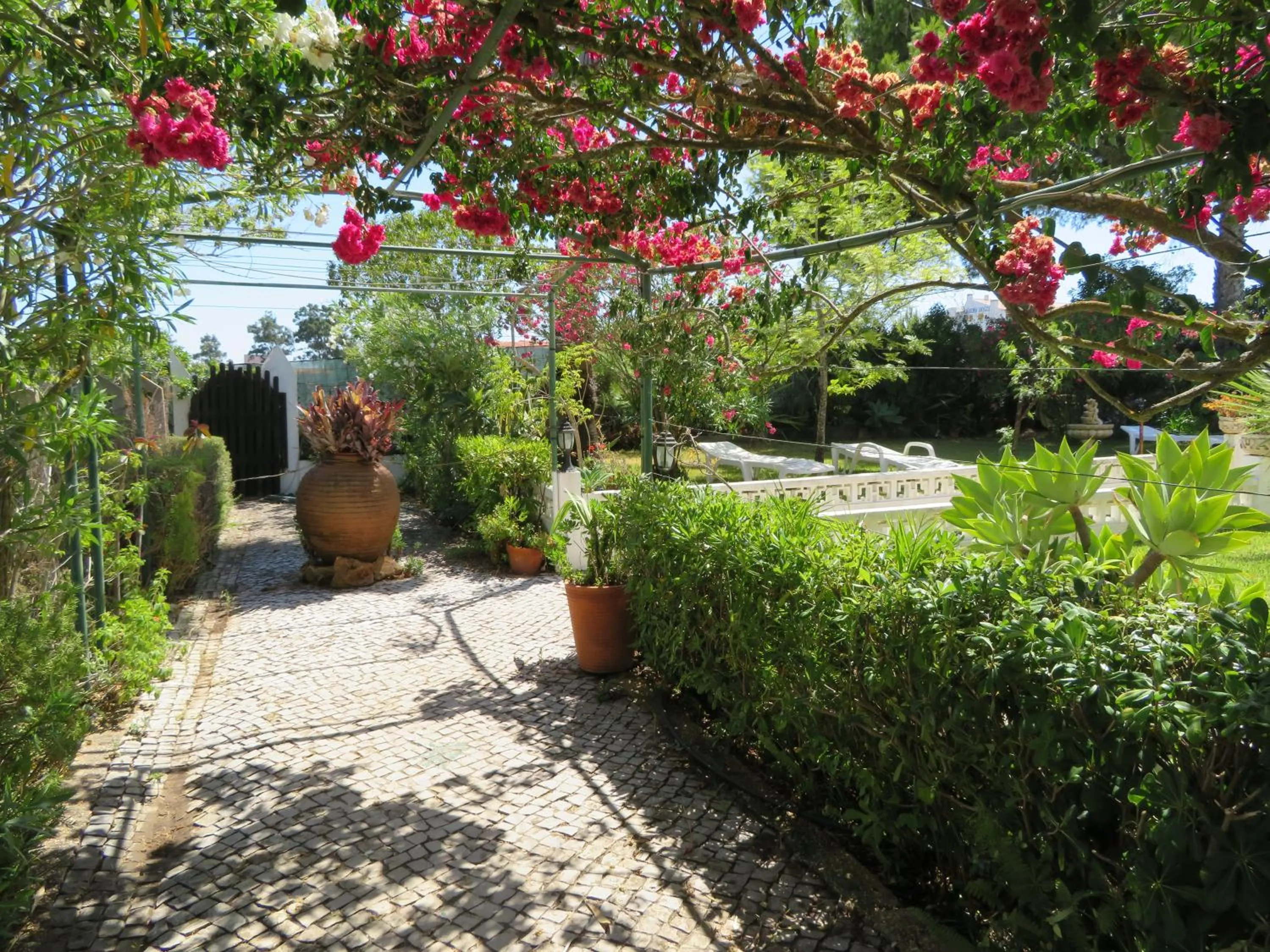 Patio in Villa Alcaide