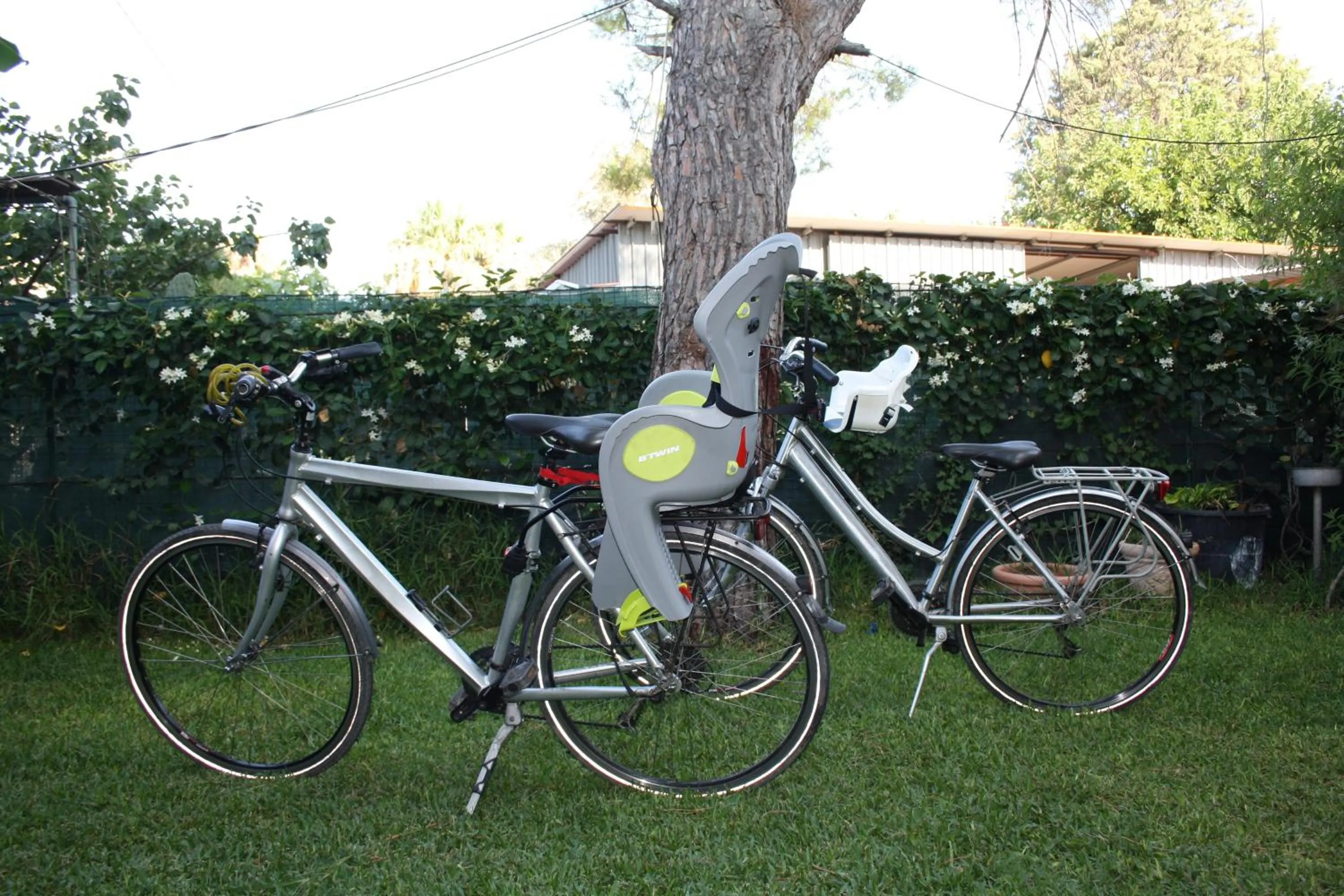 Other in Oasi Del Gabbiano