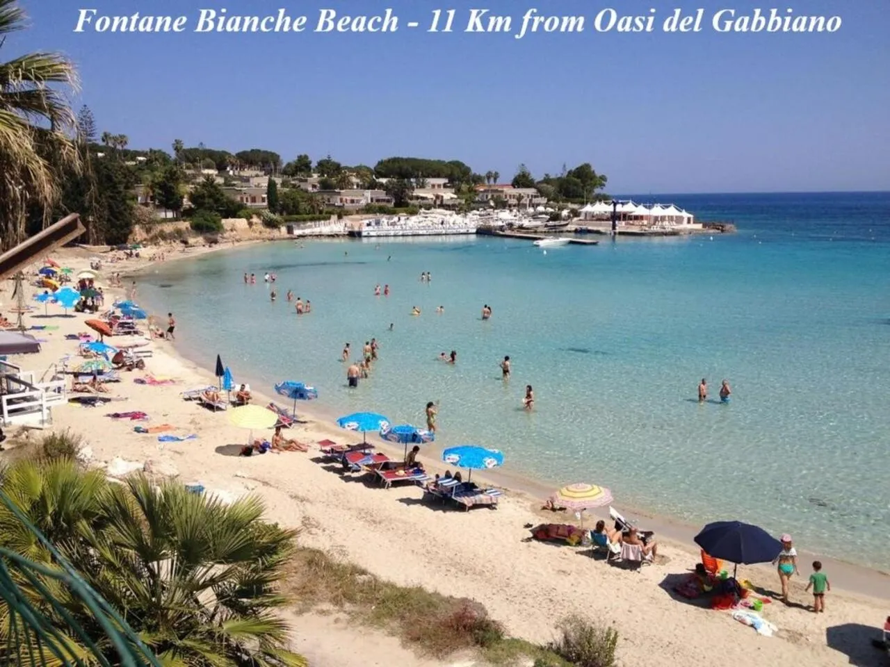 Beach in Oasi Del Gabbiano