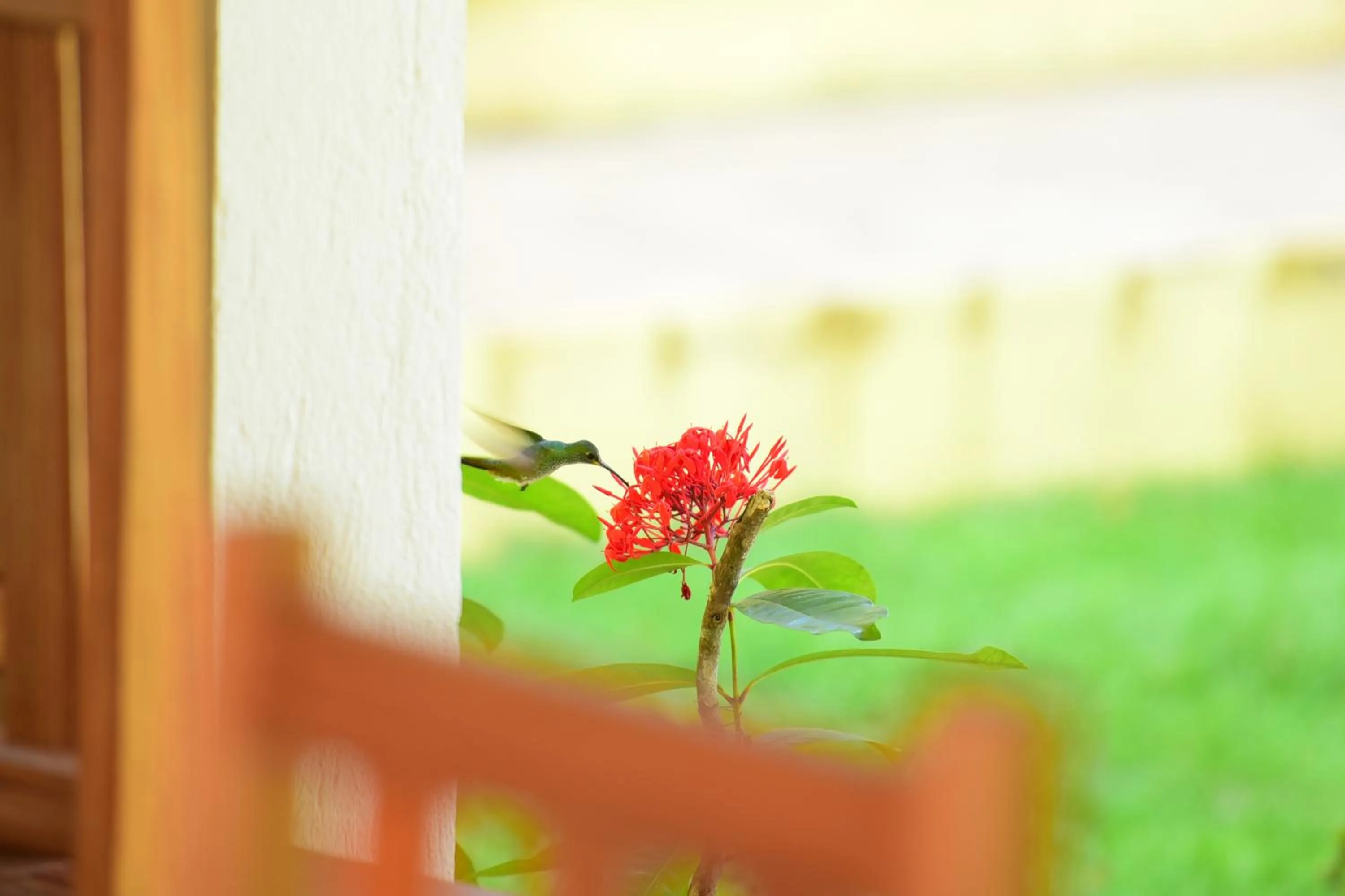 Quintas do Arraial Guest House