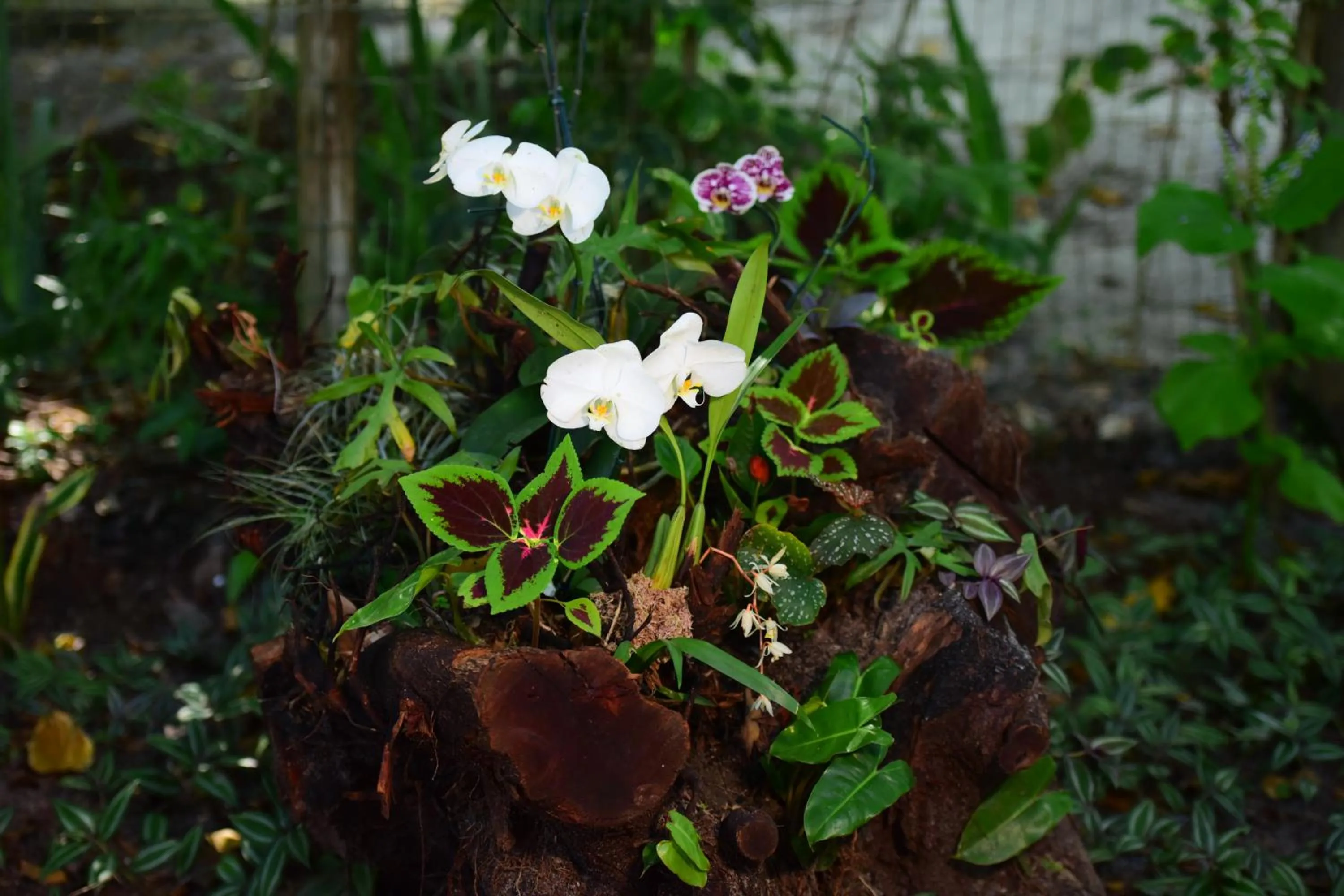 Quintas do Arraial Guest House