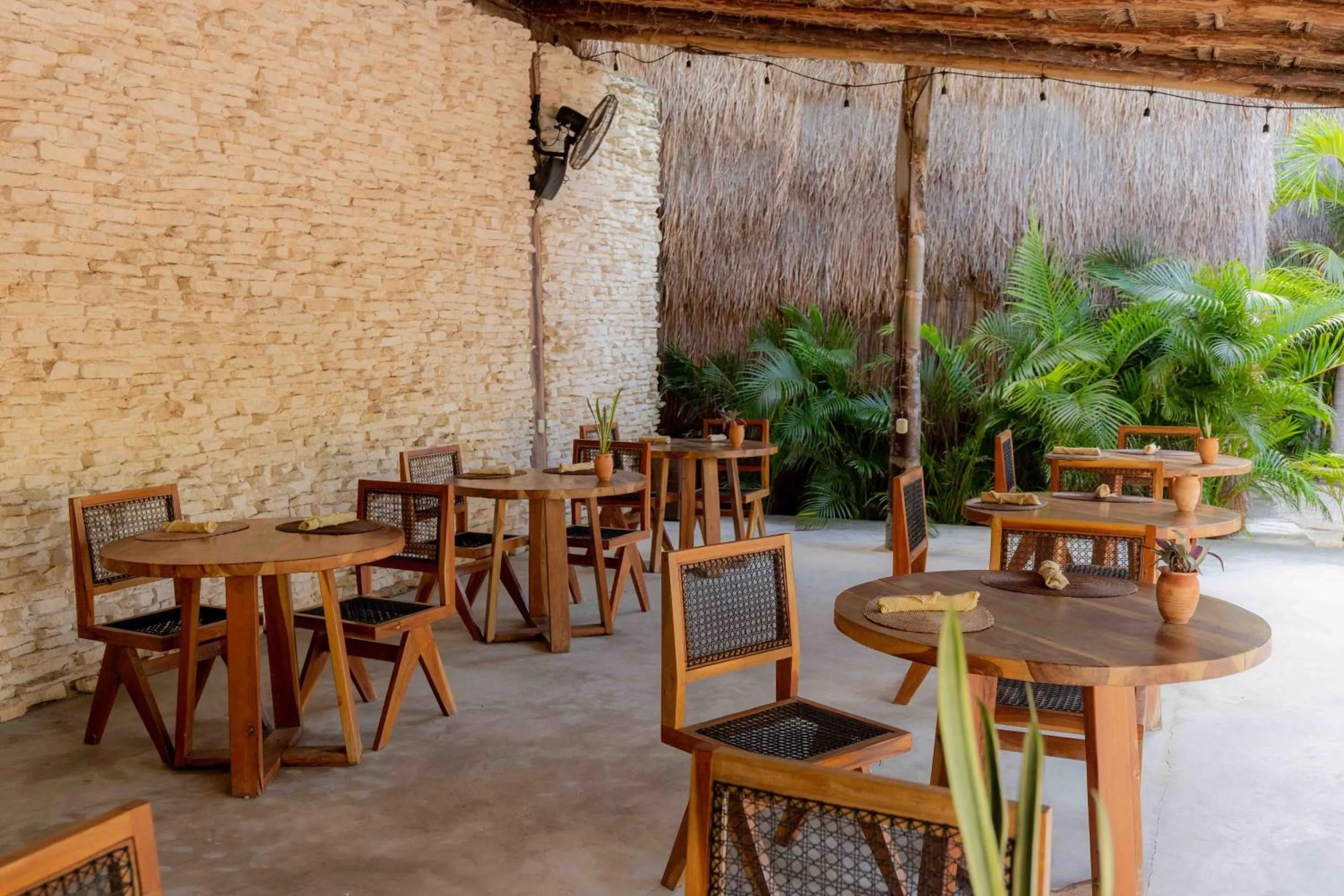 Restaurant/places to eat in Radhoo Tulum