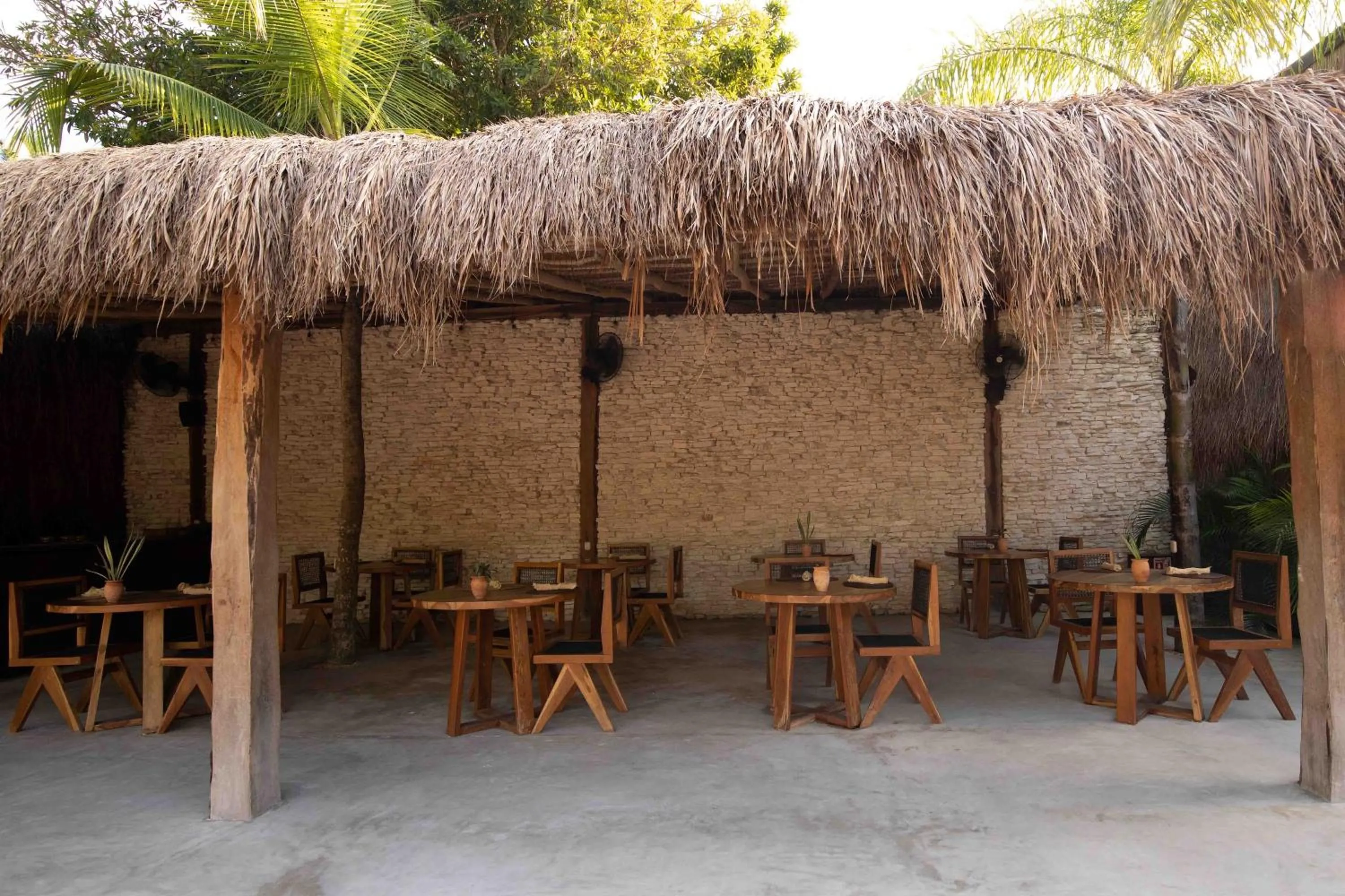 Restaurant/places to eat in Radhoo Tulum