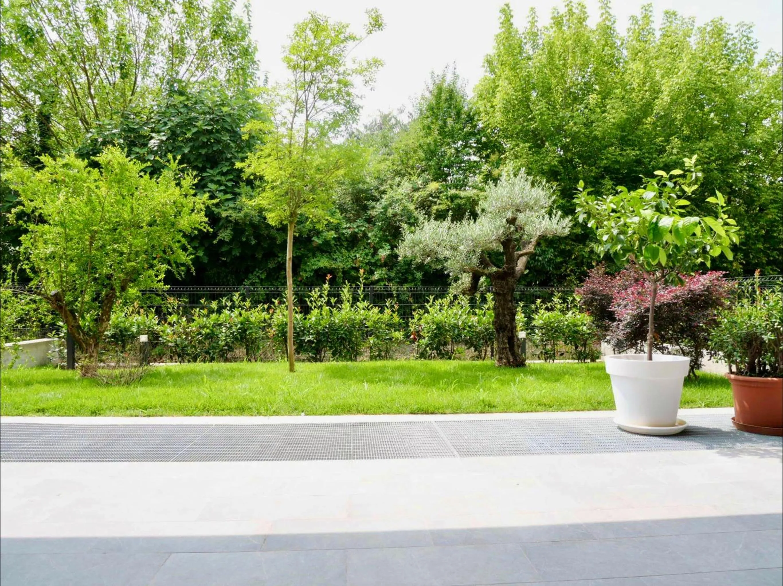 Garden in RESIDENCE BACO Da SETA