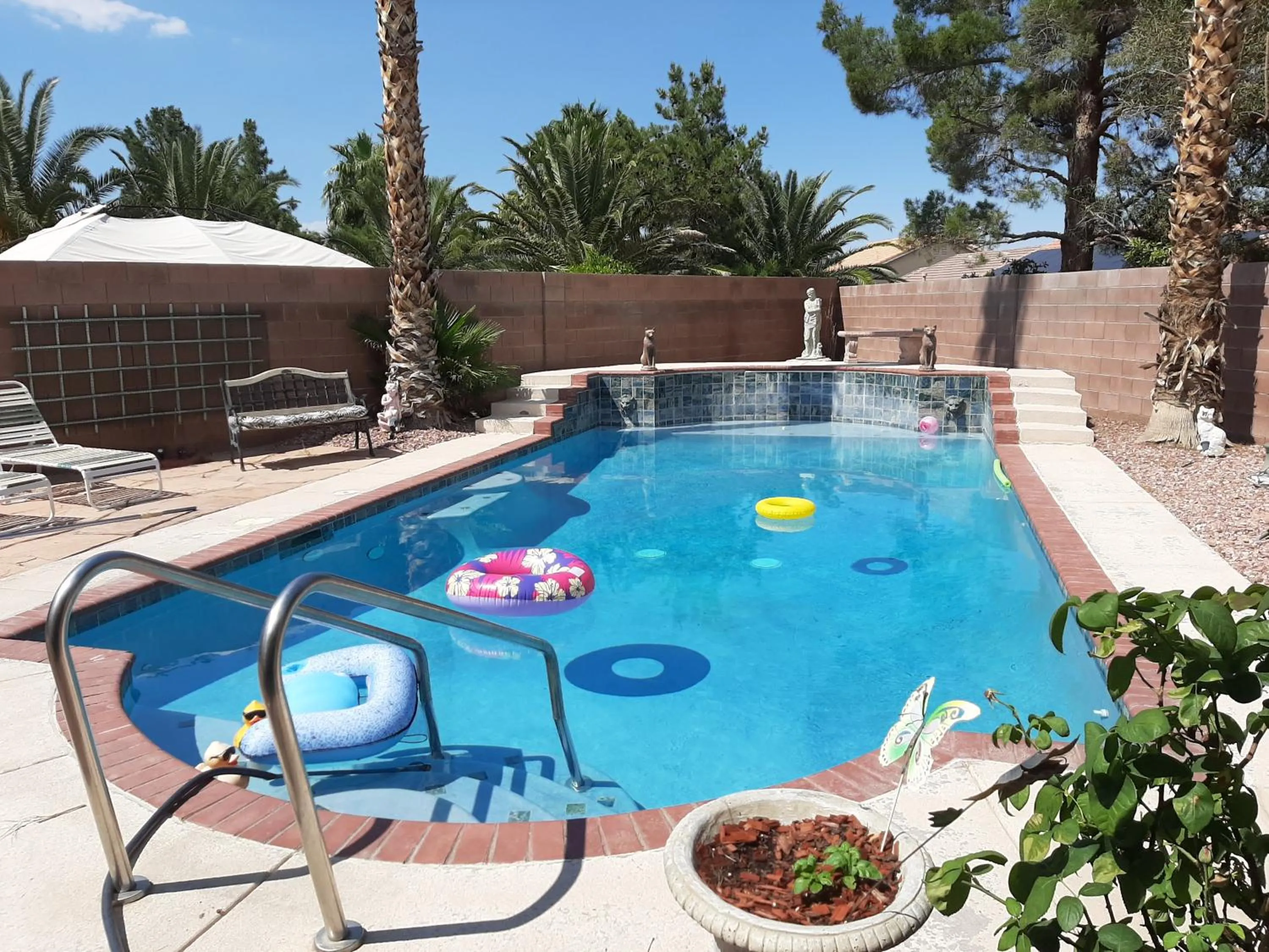 Swimming pool in CATmosphere