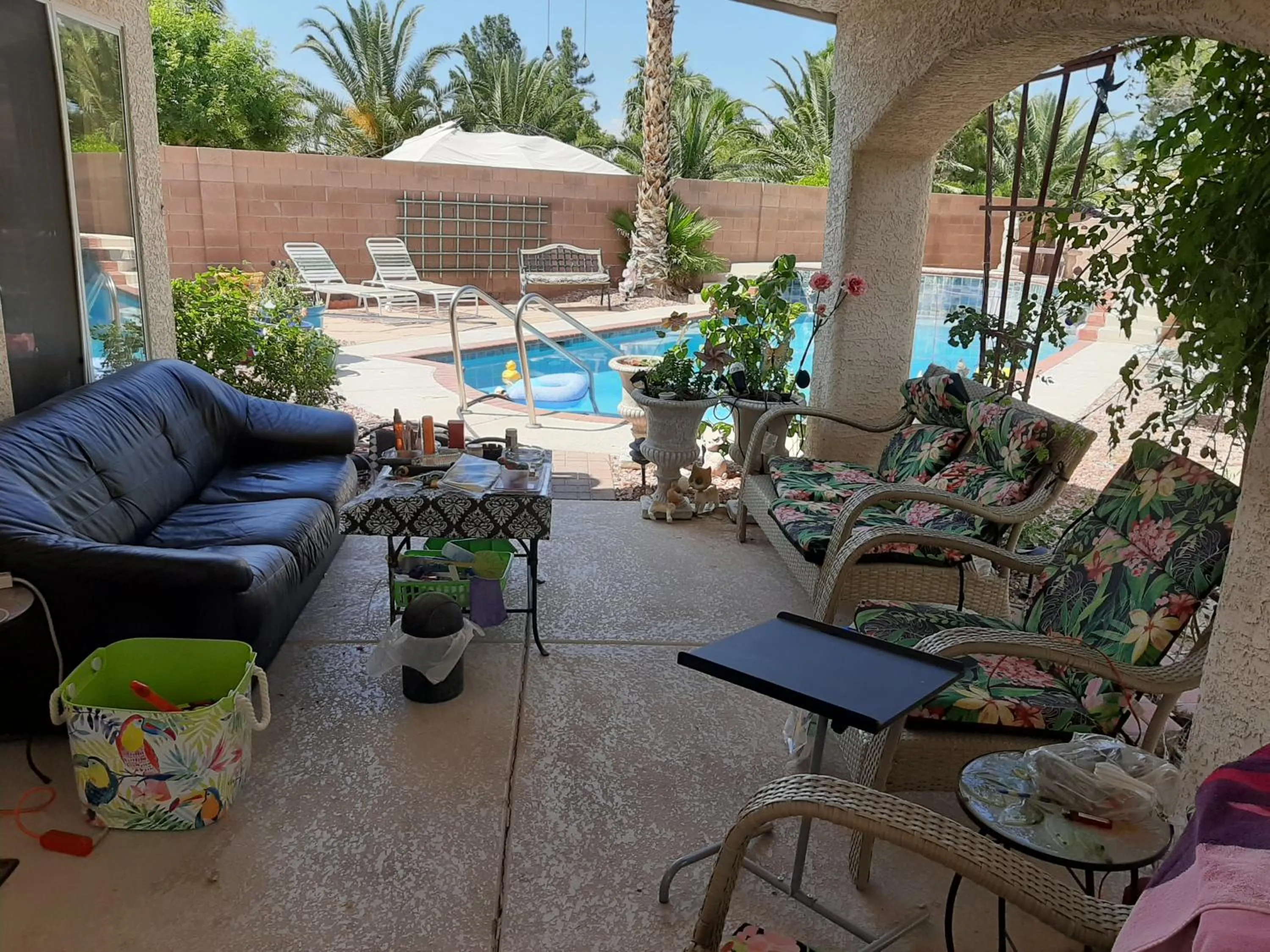 Swimming pool in CATmosphere