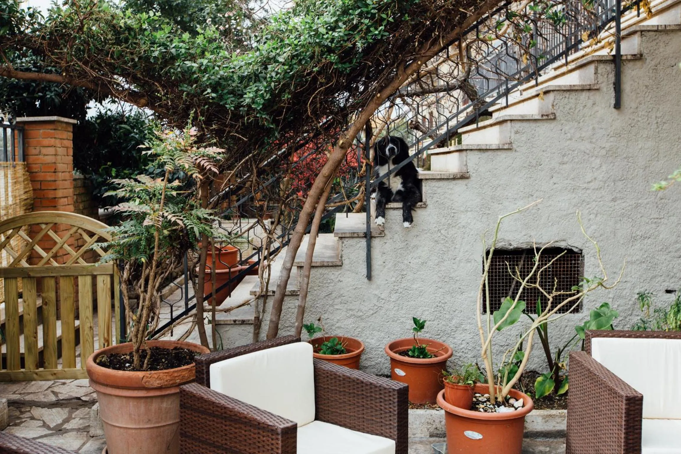 Garden in Hotel Cala Di Forno