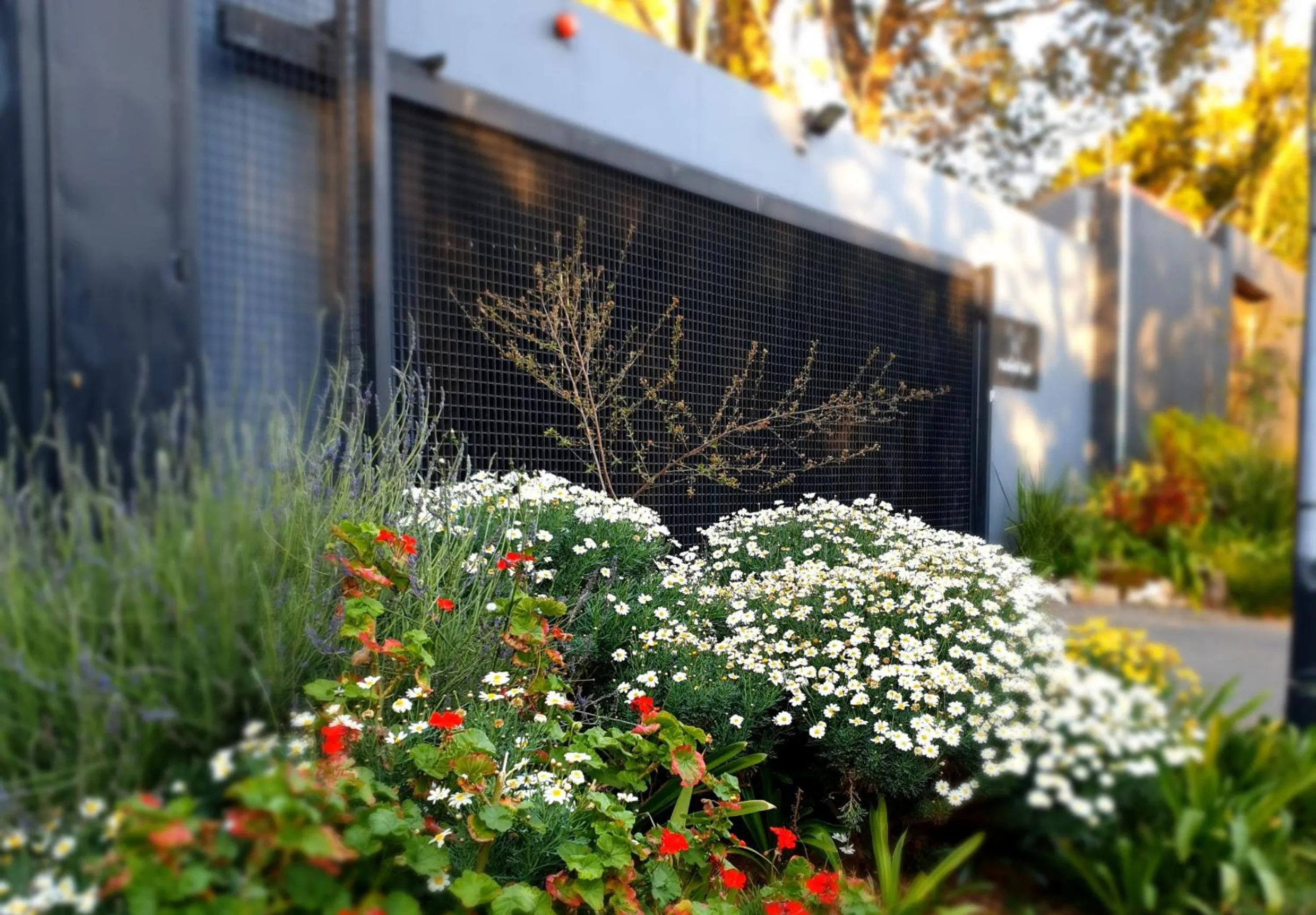 Facade/entrance in Hadeda Hall