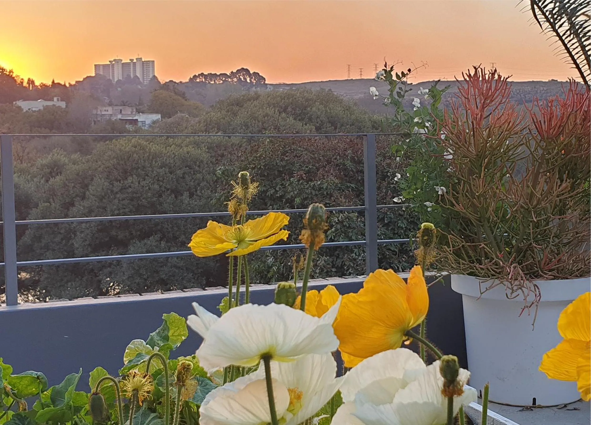 Mountain view in Hadeda Hall