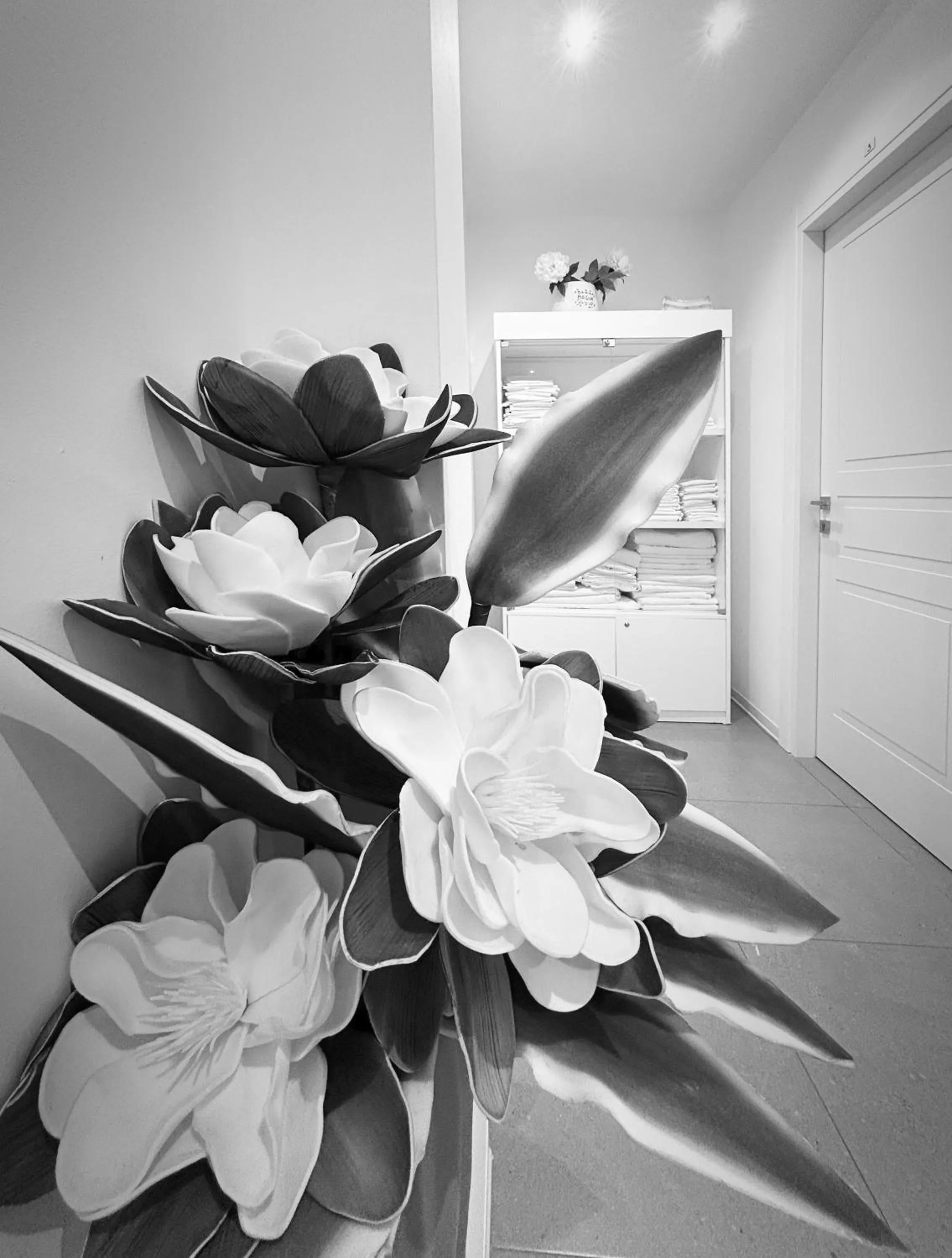 hair dresser in Affittacamere Everest